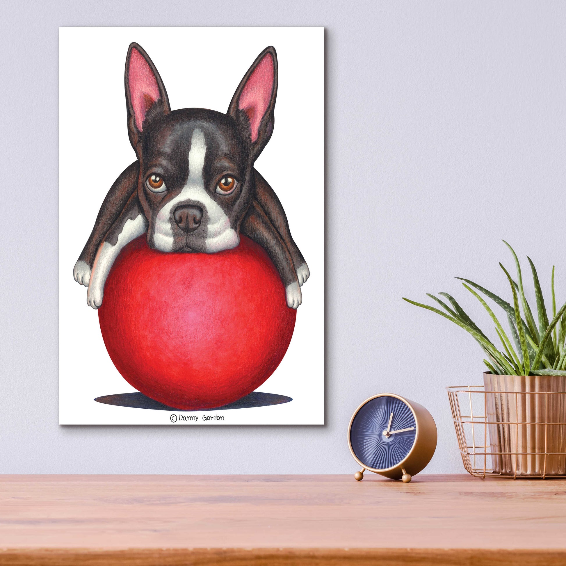 Epic Art 'Boston Terrier on Red Ball' by Danny Gordon Art, Acrylic Glass Wall Art,12x16