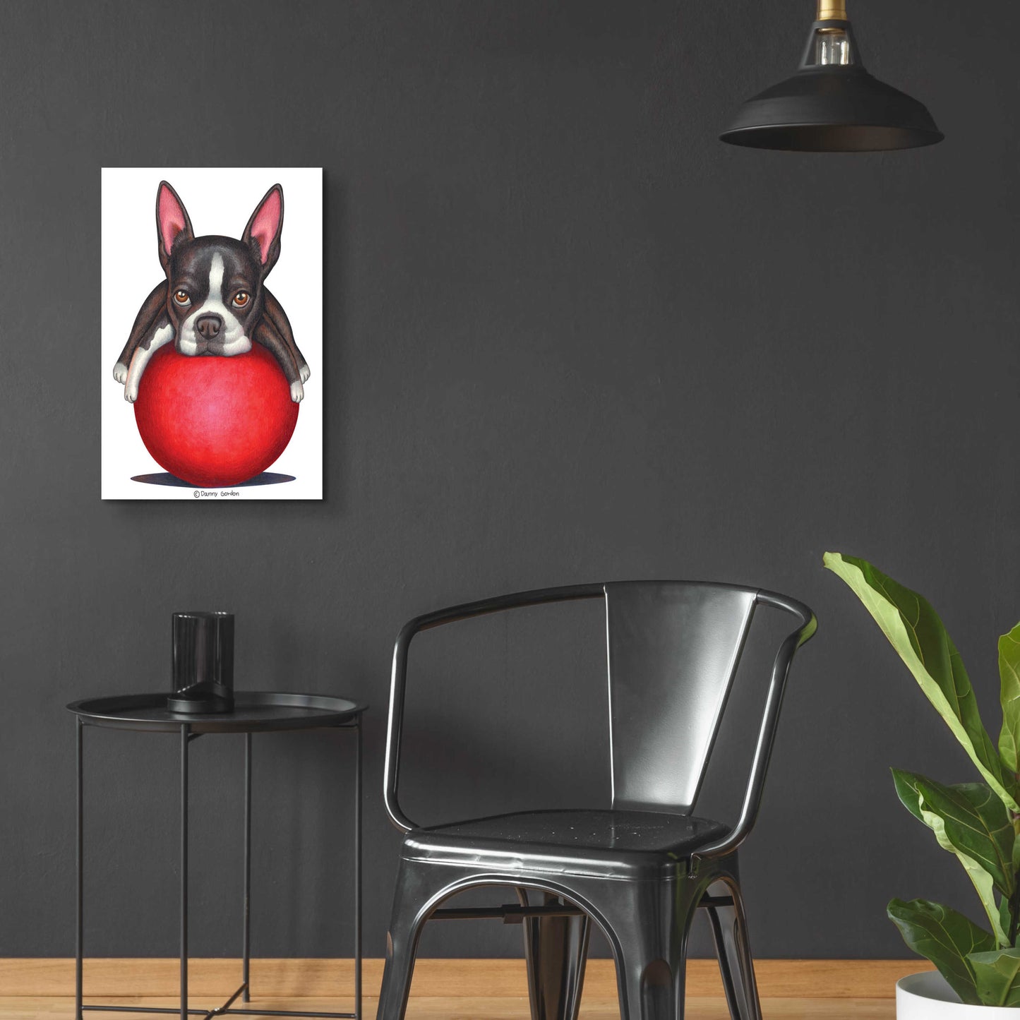 Epic Art 'Boston Terrier on Red Ball' by Danny Gordon Art, Acrylic Glass Wall Art,16x24