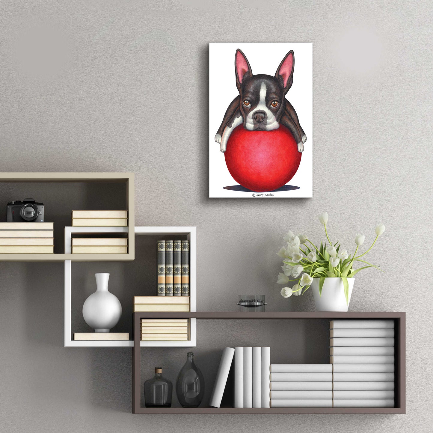 Epic Art 'Boston Terrier on Red Ball' by Danny Gordon Art, Acrylic Glass Wall Art,16x24