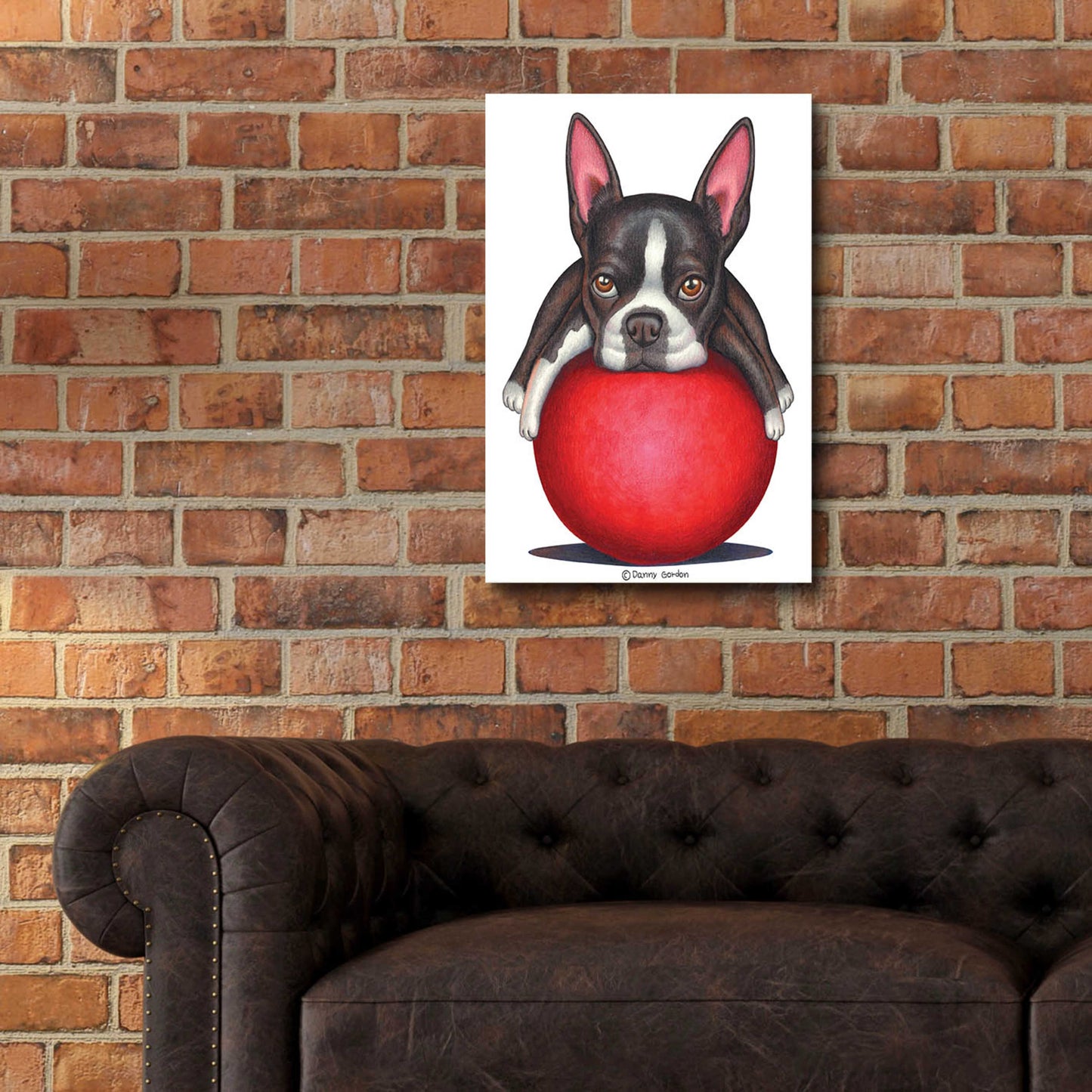 Epic Art 'Boston Terrier on Red Ball' by Danny Gordon Art, Acrylic Glass Wall Art,16x24