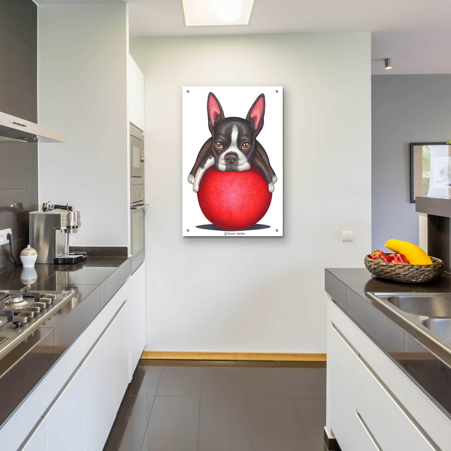 Epic Art 'Boston Terrier on Red Ball' by Danny Gordon Art, Acrylic Glass Wall Art,24x36