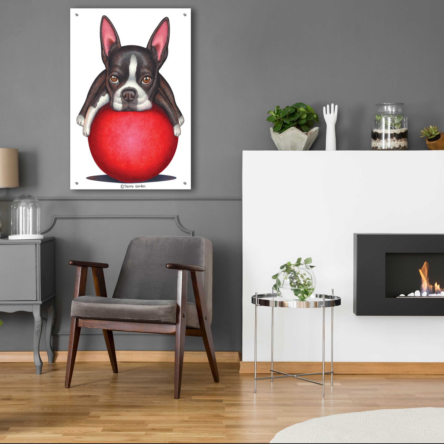 Epic Art 'Boston Terrier on Red Ball' by Danny Gordon Art, Acrylic Glass Wall Art,24x36