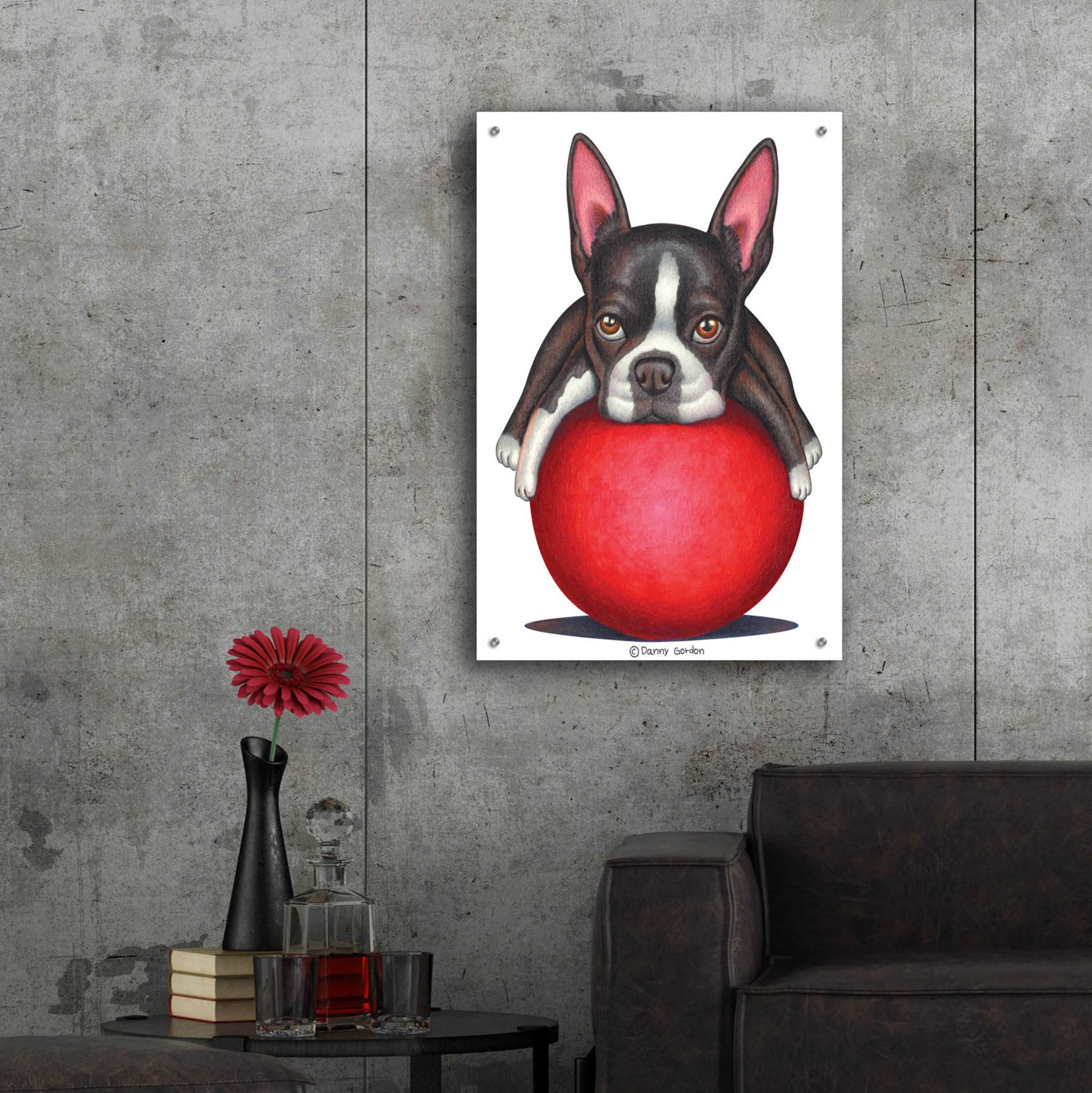 Epic Art 'Boston Terrier on Red Ball' by Danny Gordon Art, Acrylic Glass Wall Art,24x36