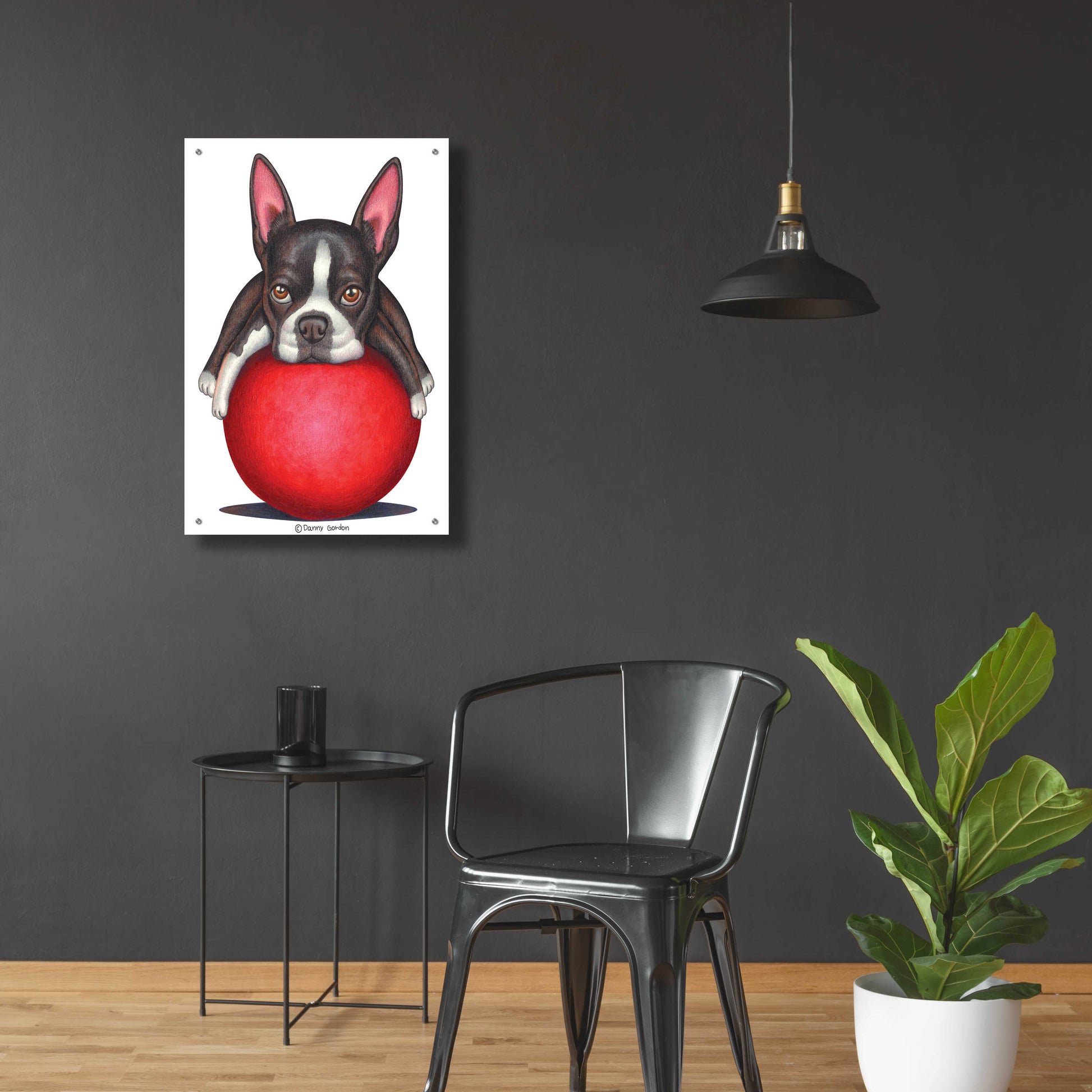 Epic Art 'Boston Terrier on Red Ball' by Danny Gordon Art, Acrylic Glass Wall Art,24x36