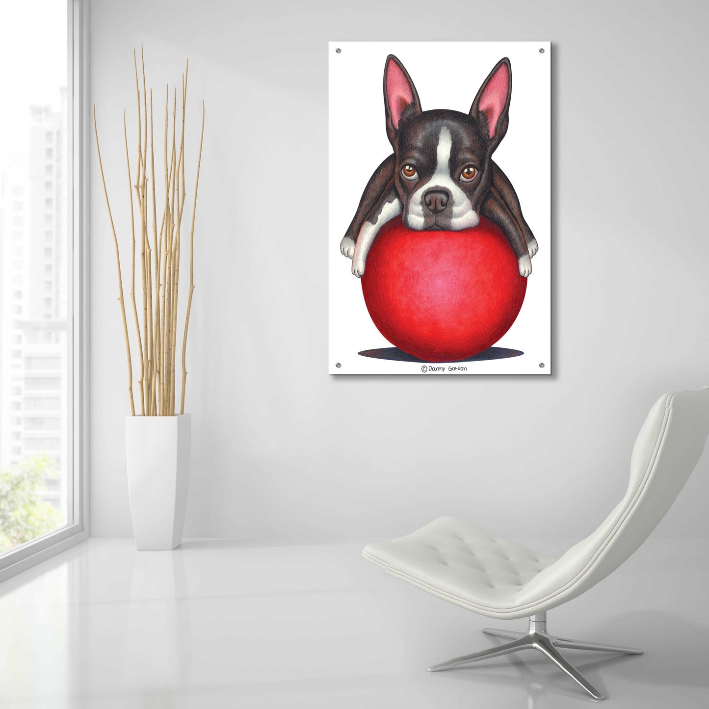 Epic Art 'Boston Terrier on Red Ball' by Danny Gordon Art, Acrylic Glass Wall Art,24x36