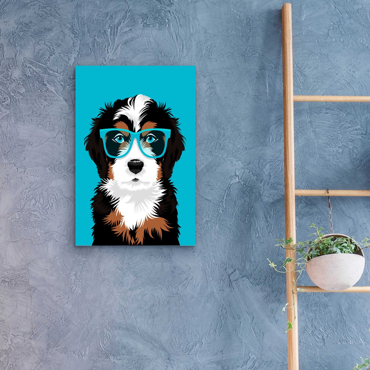 Epic Art 'Bernese Mountain Blue' by Debbie Gray, Acrylic Glass Wall Art,16x24