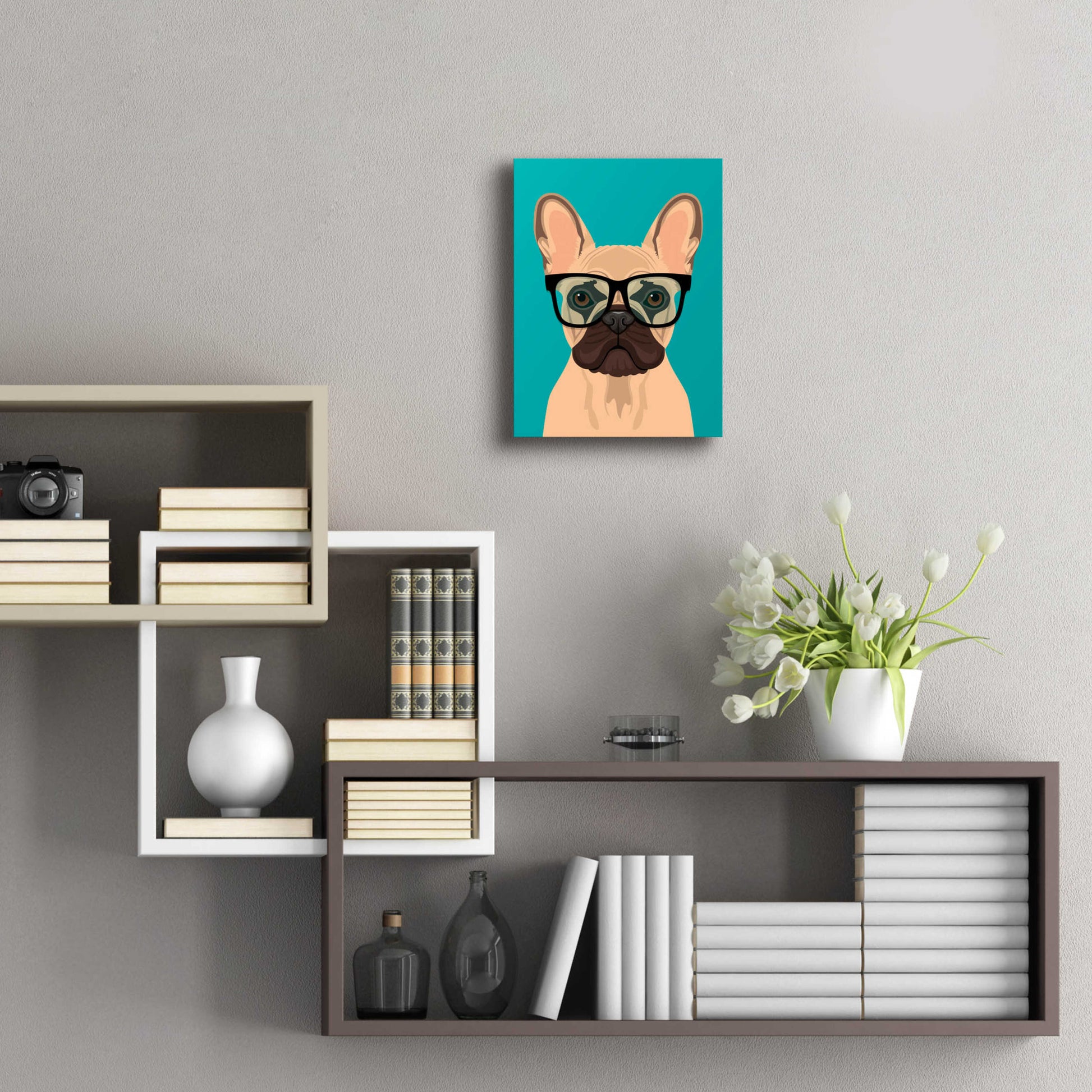 Epic Art 'French Bulldog Teal' by Debbie Gray, Acrylic Glass Wall Art,12x16