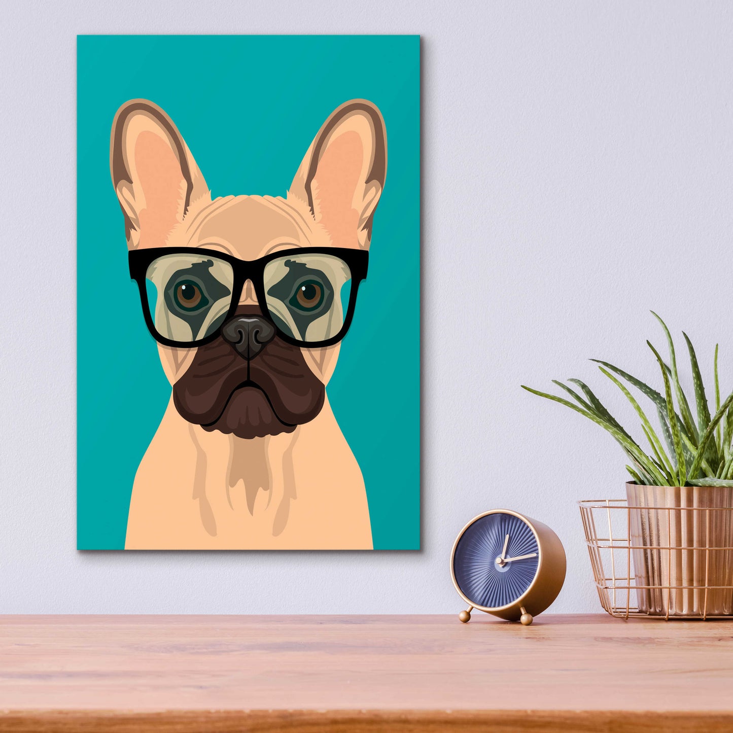 Epic Art 'French Bulldog Teal' by Debbie Gray, Acrylic Glass Wall Art,12x16