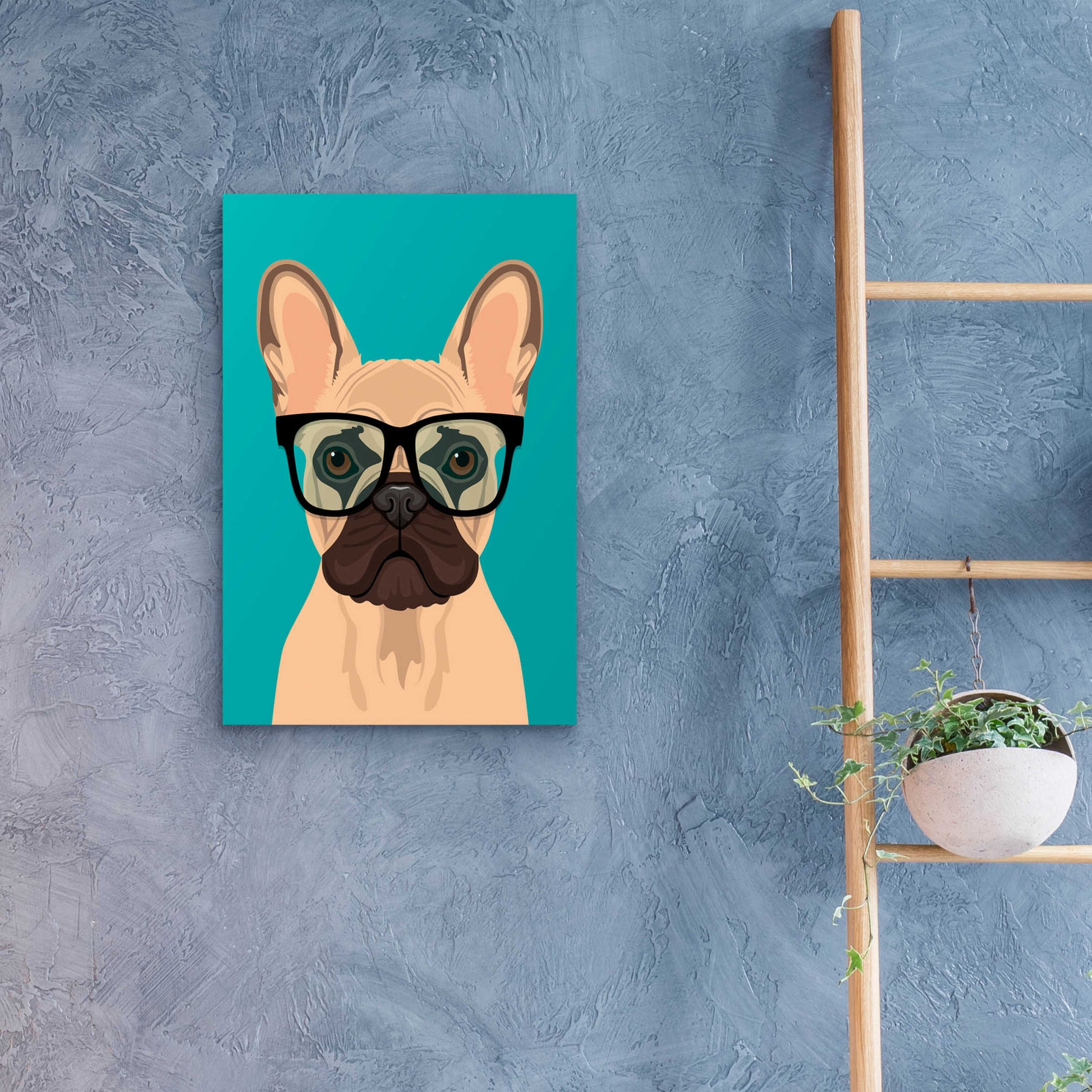 Epic Art 'French Bulldog Teal' by Debbie Gray, Acrylic Glass Wall Art,16x24