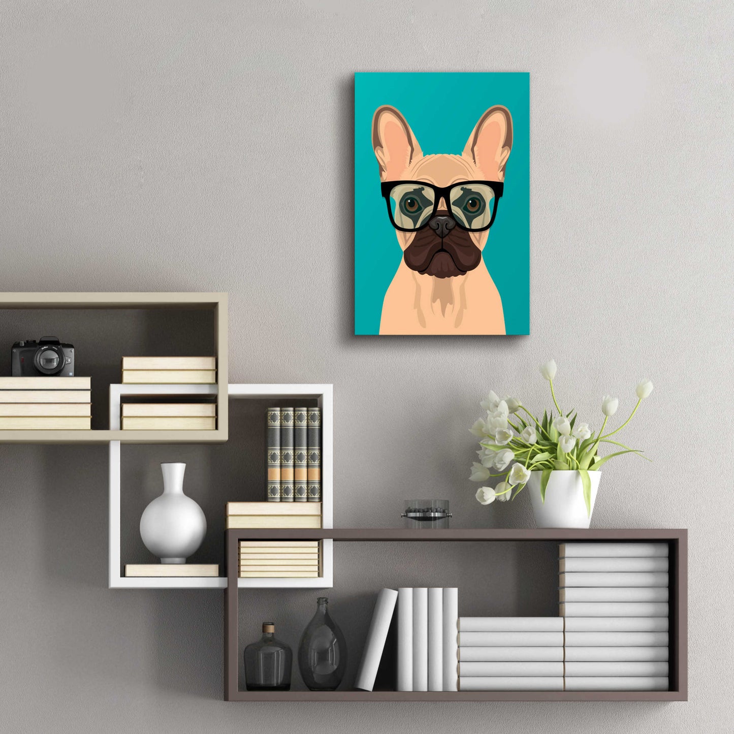 Epic Art 'French Bulldog Teal' by Debbie Gray, Acrylic Glass Wall Art,16x24