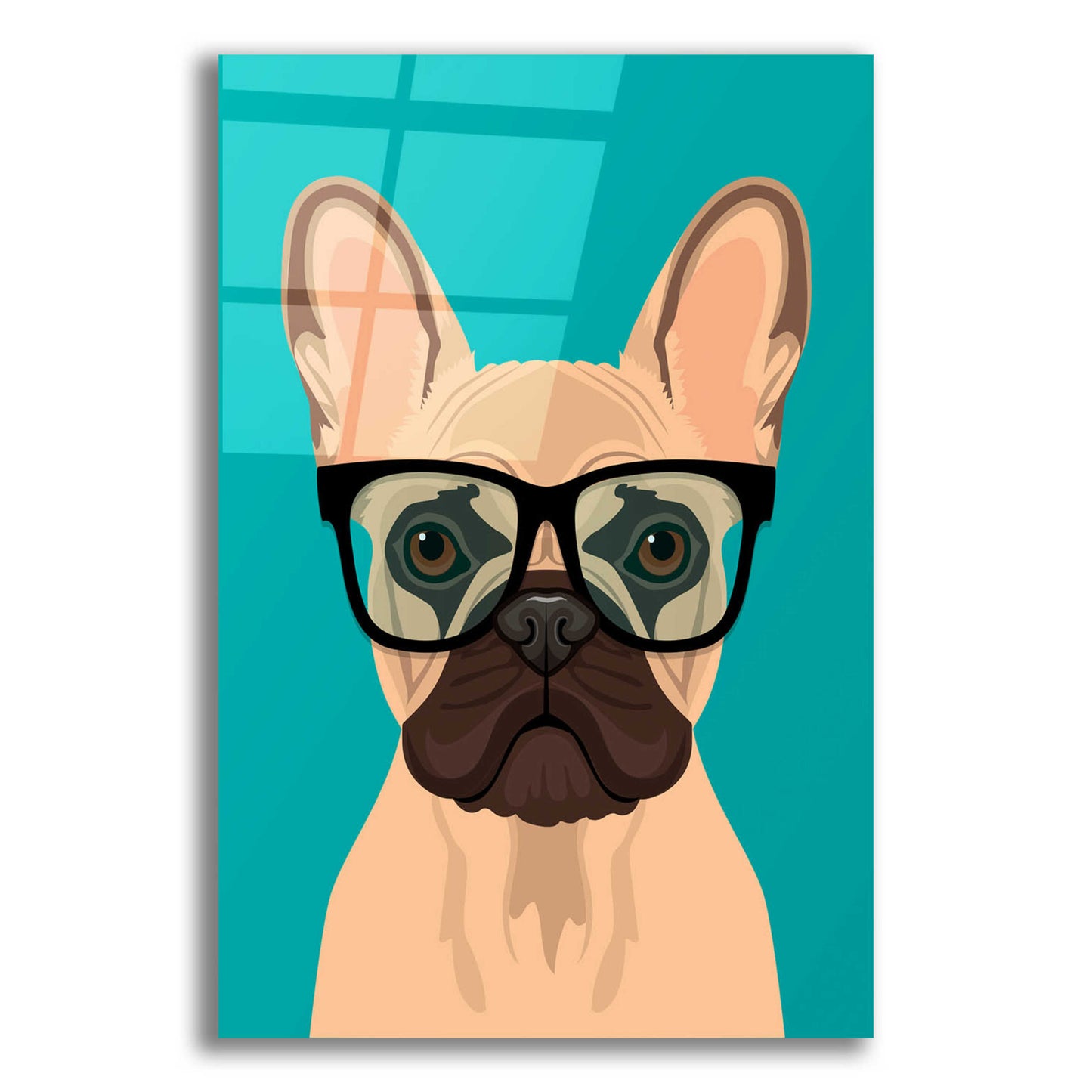 Epic Art 'French Bulldog Teal' by Debbie Gray, Acrylic Glass Wall Art