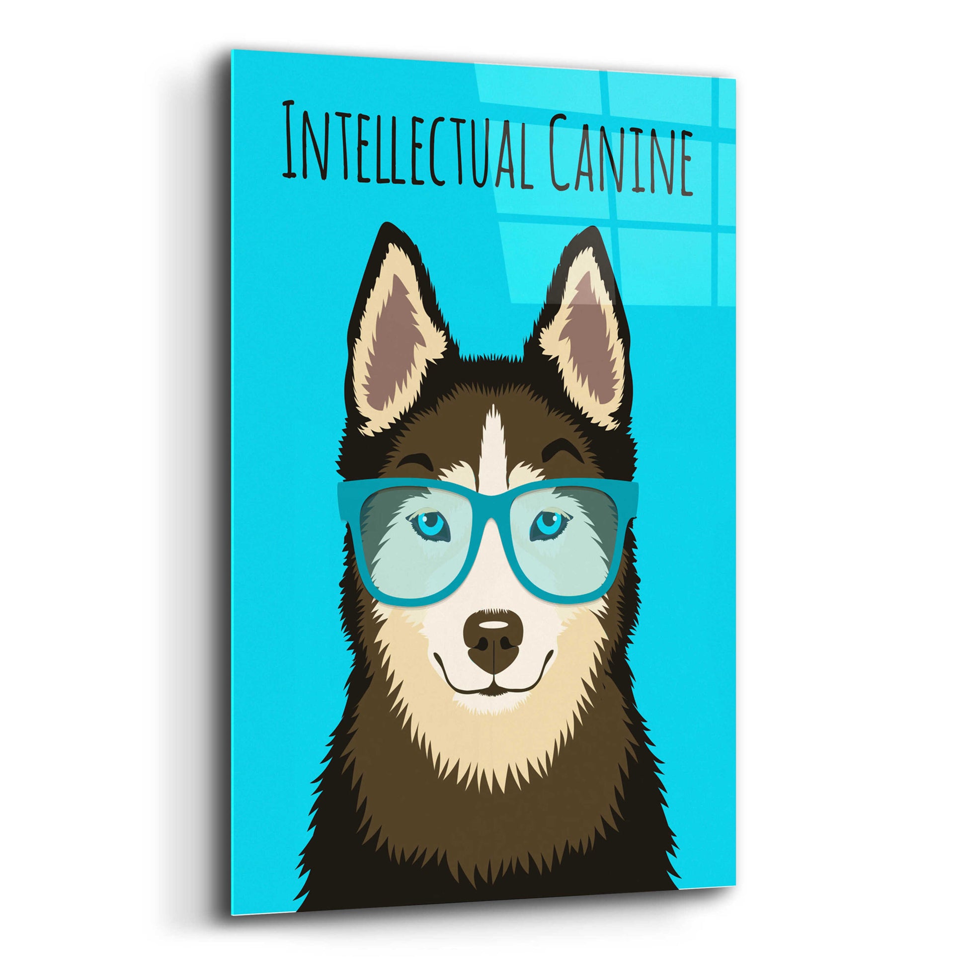 Epic Art 'Intellectual Canine' by Debbie Gray, Acrylic Glass Wall Art,12x16