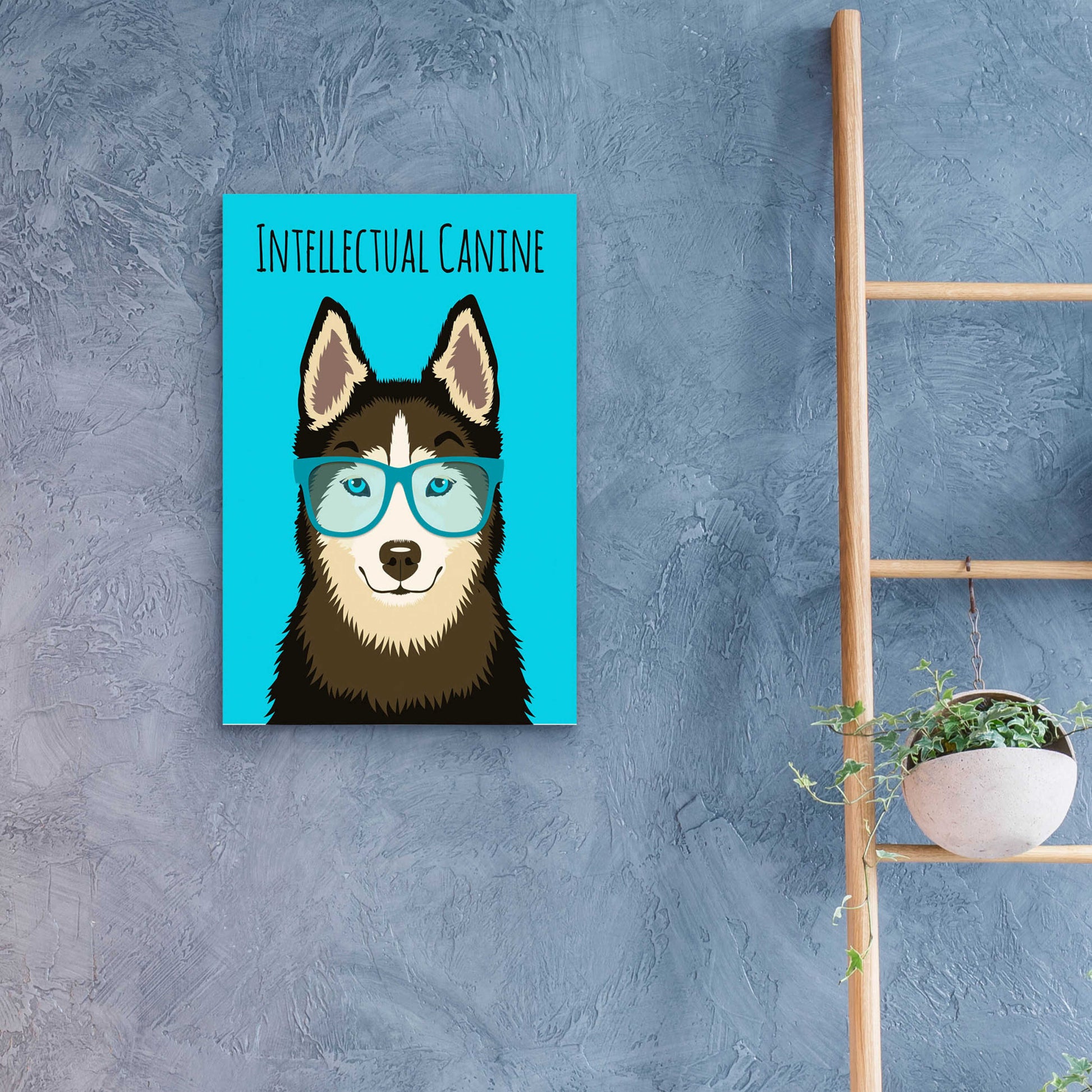 Epic Art 'Intellectual Canine' by Debbie Gray, Acrylic Glass Wall Art,16x24