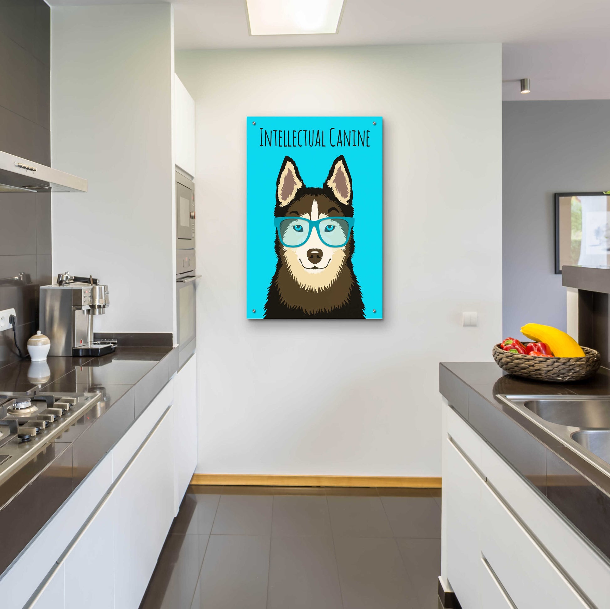 Epic Art 'Intellectual Canine' by Debbie Gray, Acrylic Glass Wall Art,24x36