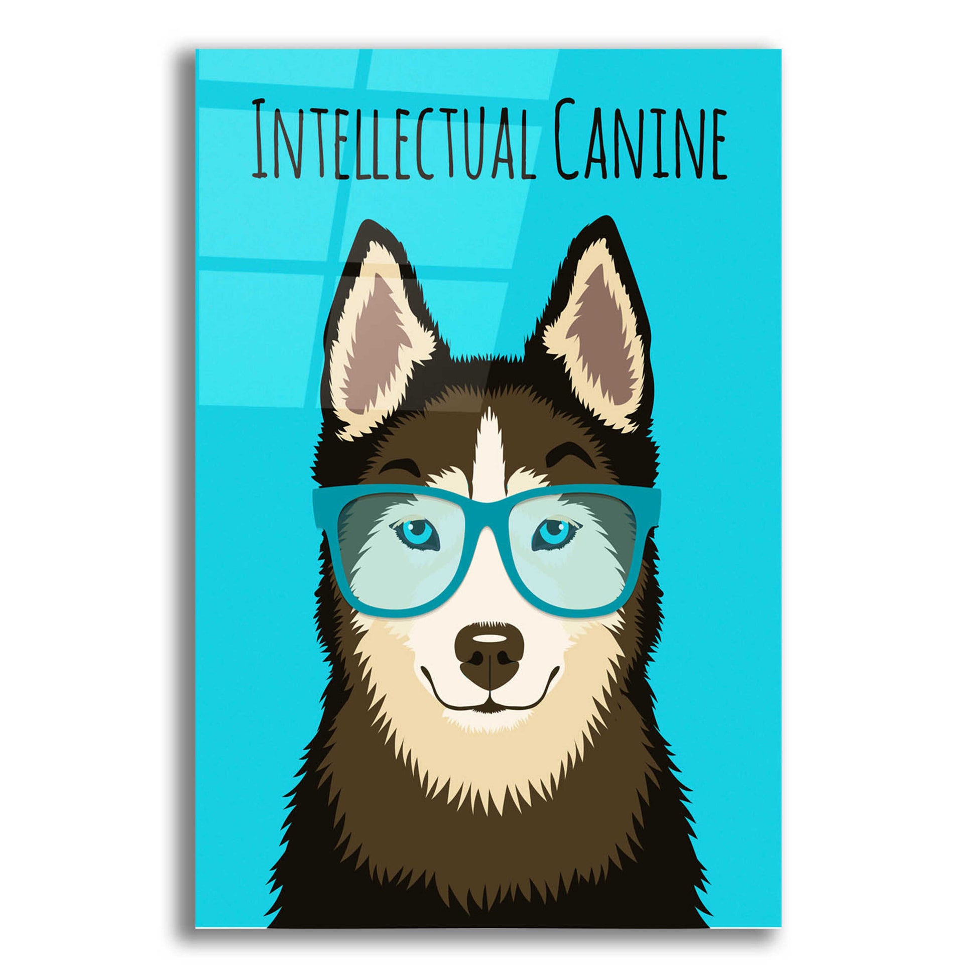 Epic Art 'Intellectual Canine' by Debbie Gray, Acrylic Glass Wall Art