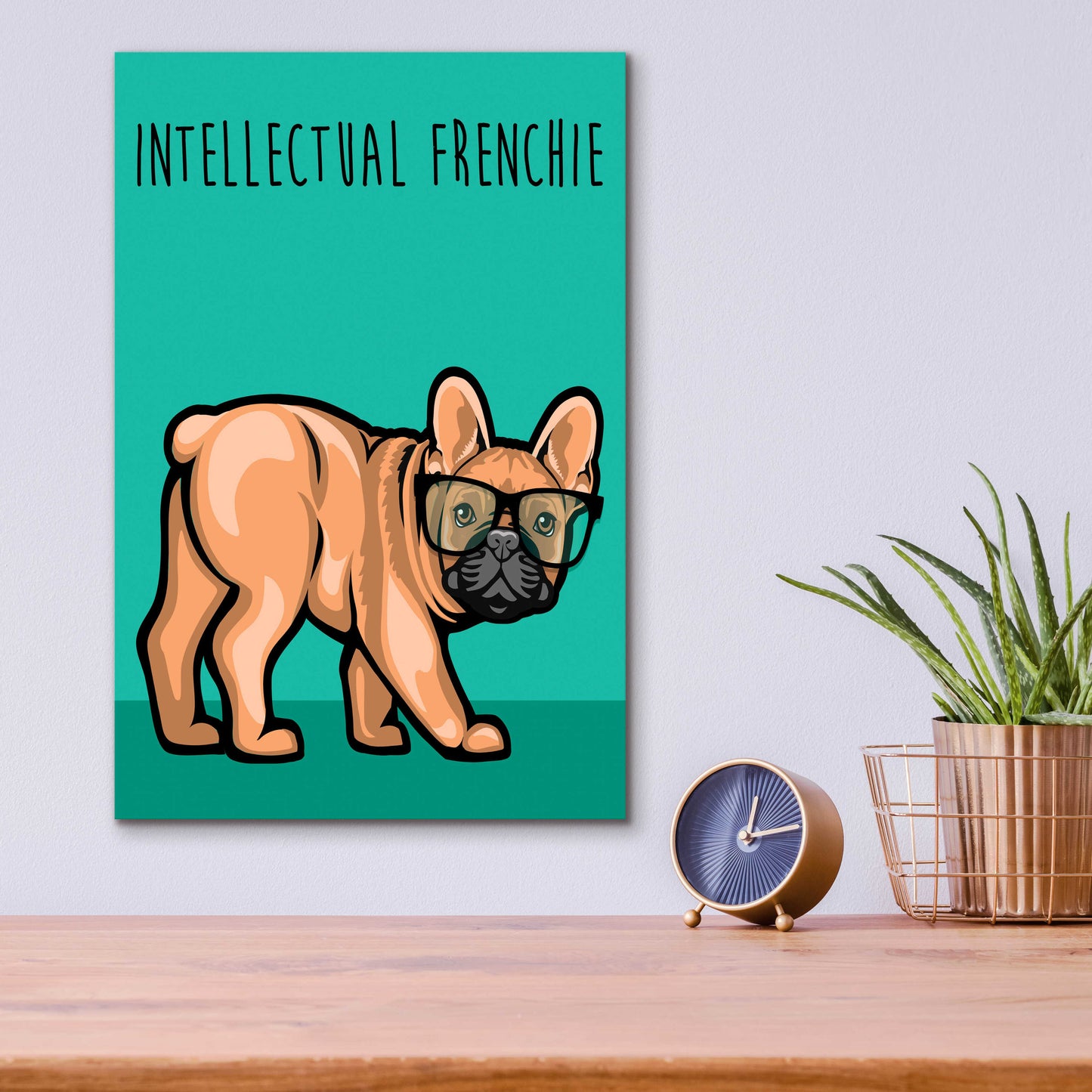 Epic Art 'Intellectual Frenchie' by Debbie Gray, Acrylic Glass Wall Art,12x16