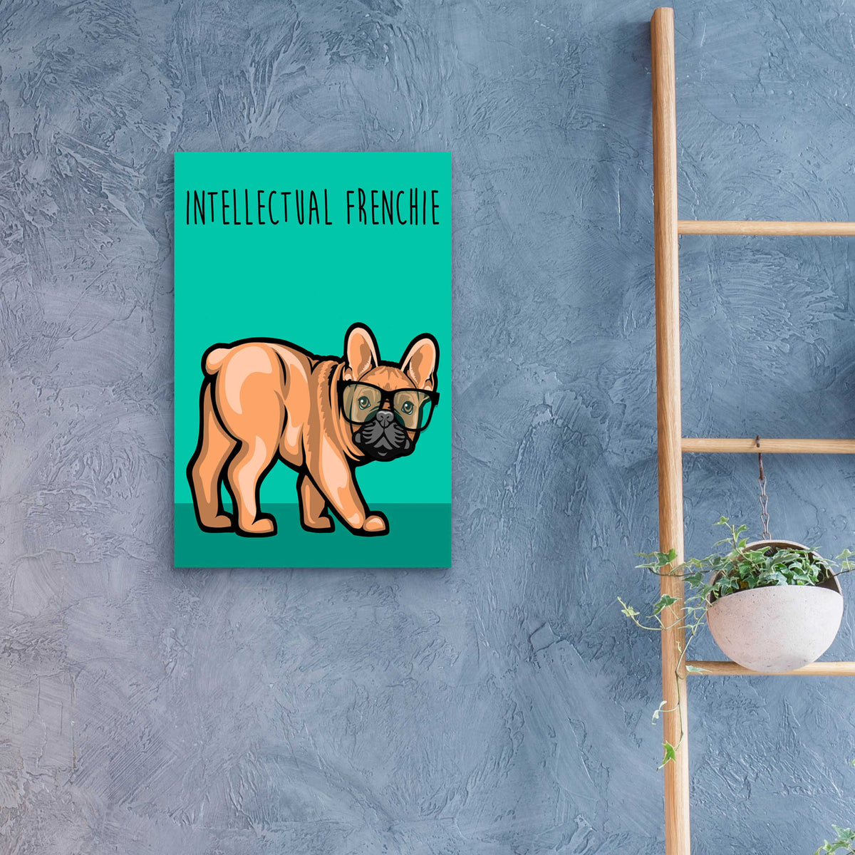 Epic Art 'Intellectual Frenchie' by Debbie Gray, Acrylic Glass Wall Art,16x24