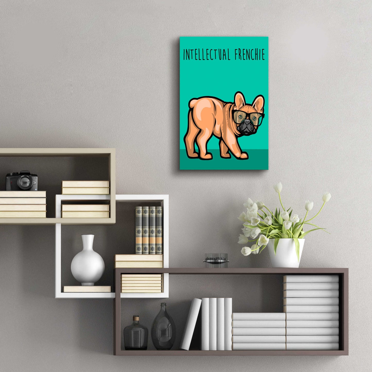 Epic Art 'Intellectual Frenchie' by Debbie Gray, Acrylic Glass Wall Art,16x24