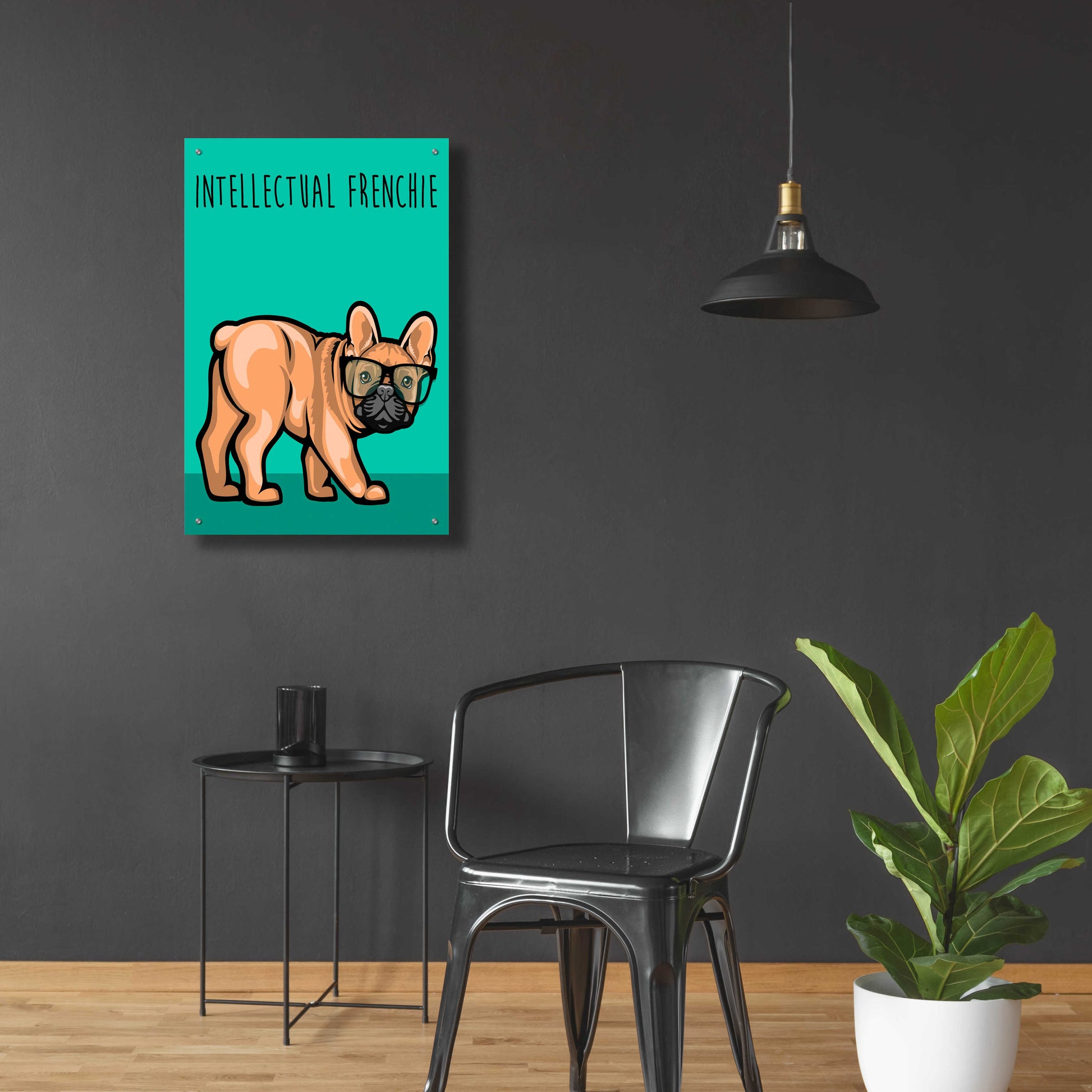 Epic Art 'Intellectual Frenchie' by Debbie Gray, Acrylic Glass Wall Art,24x36