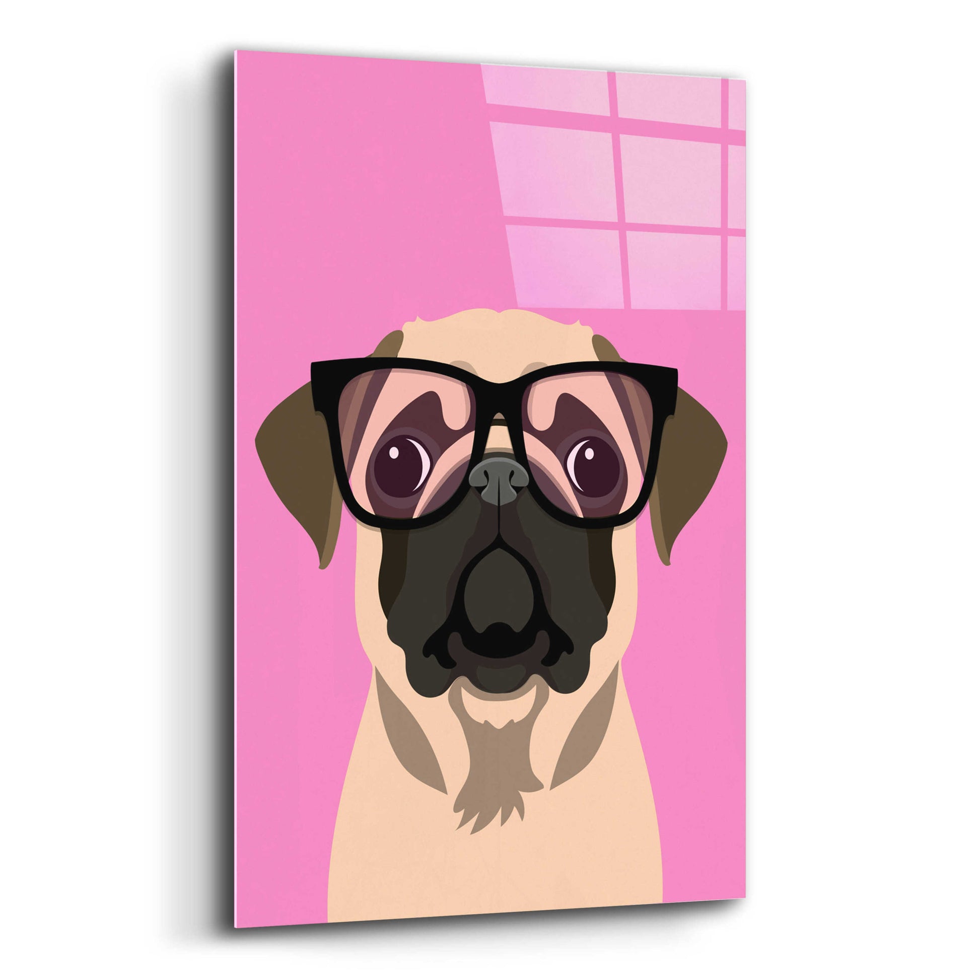 Epic Art 'Pug Pink' by Debbie Gray, Acrylic Glass Wall Art,12x16