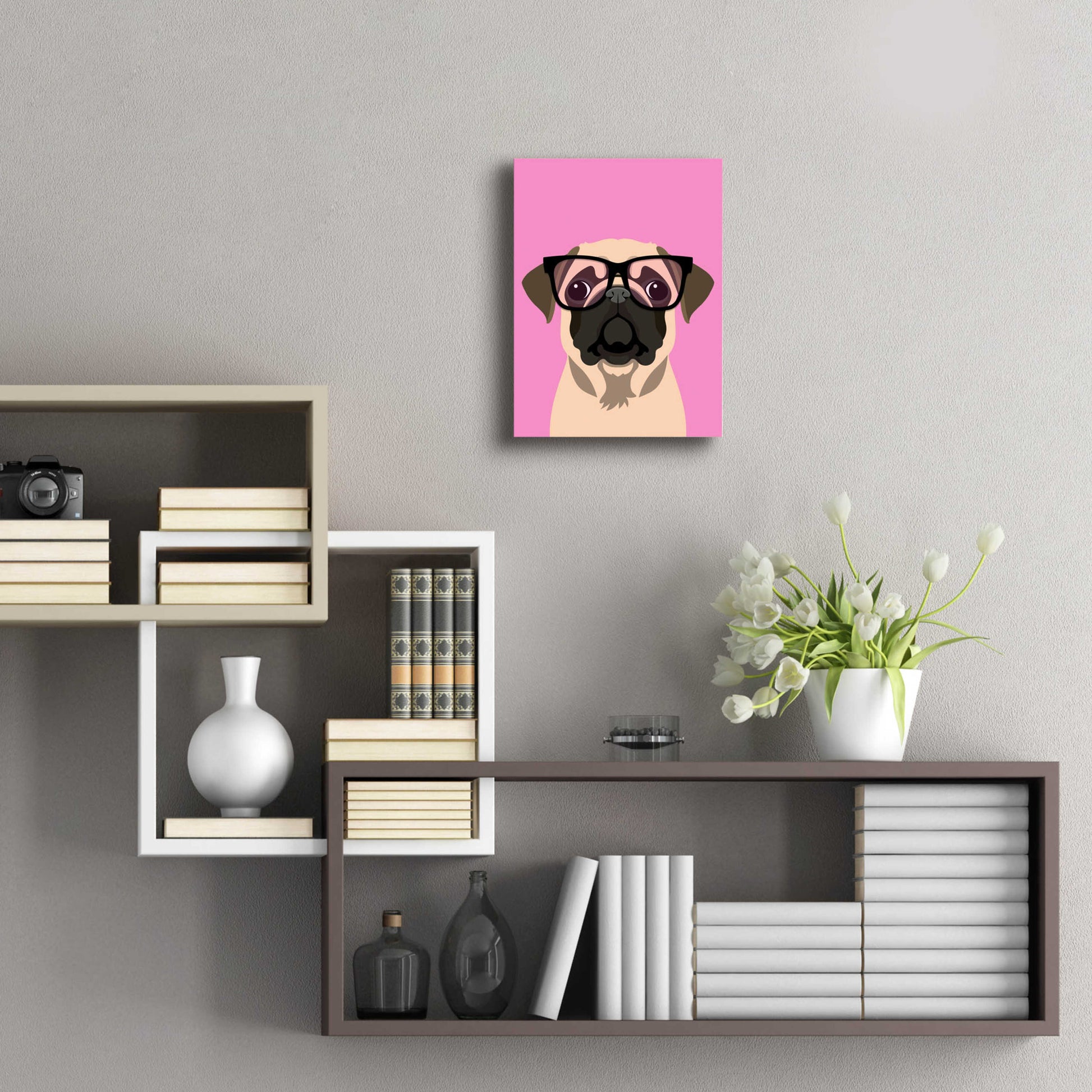 Epic Art 'Pug Pink' by Debbie Gray, Acrylic Glass Wall Art,12x16