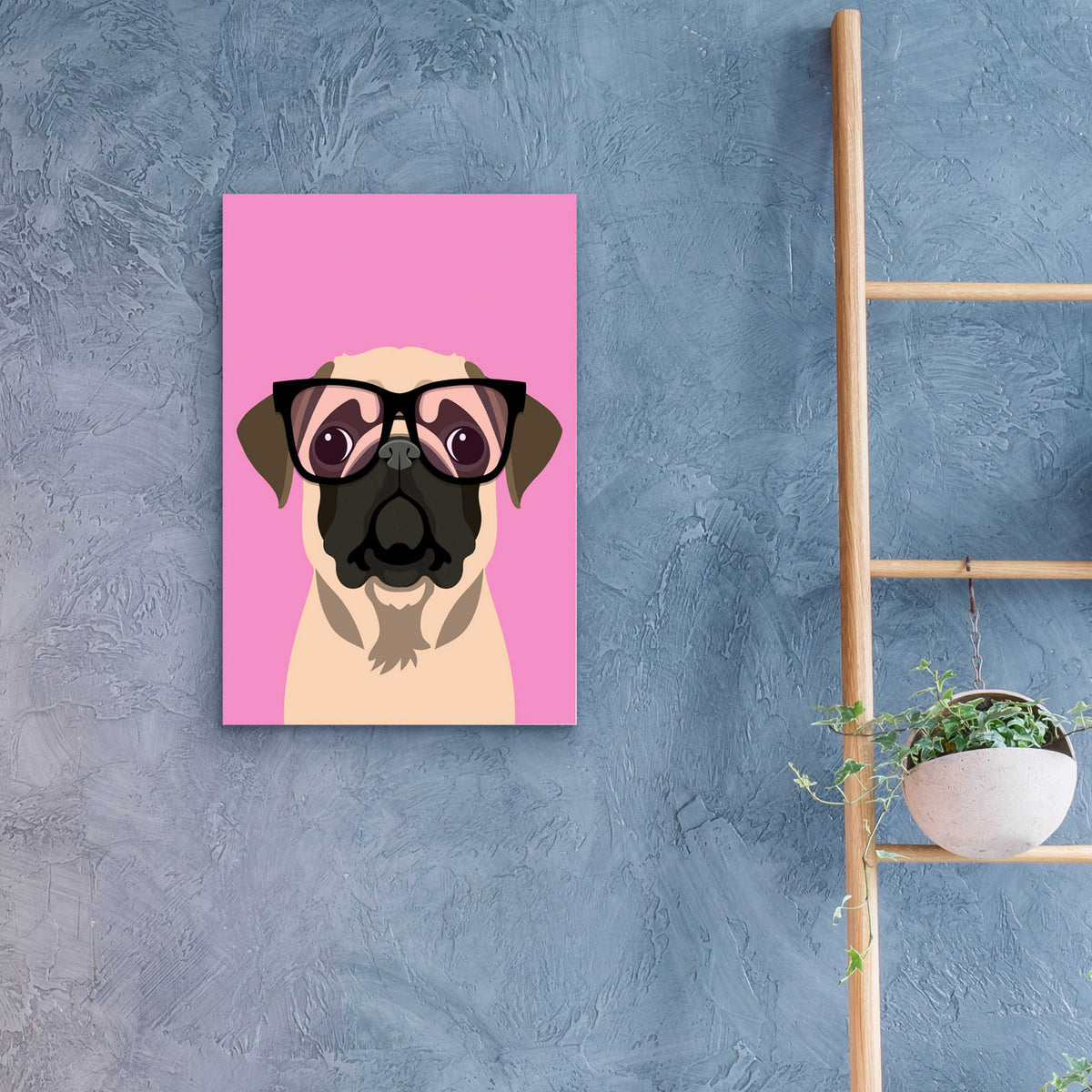 Epic Art 'Pug Pink' by Debbie Gray, Acrylic Glass Wall Art,16x24