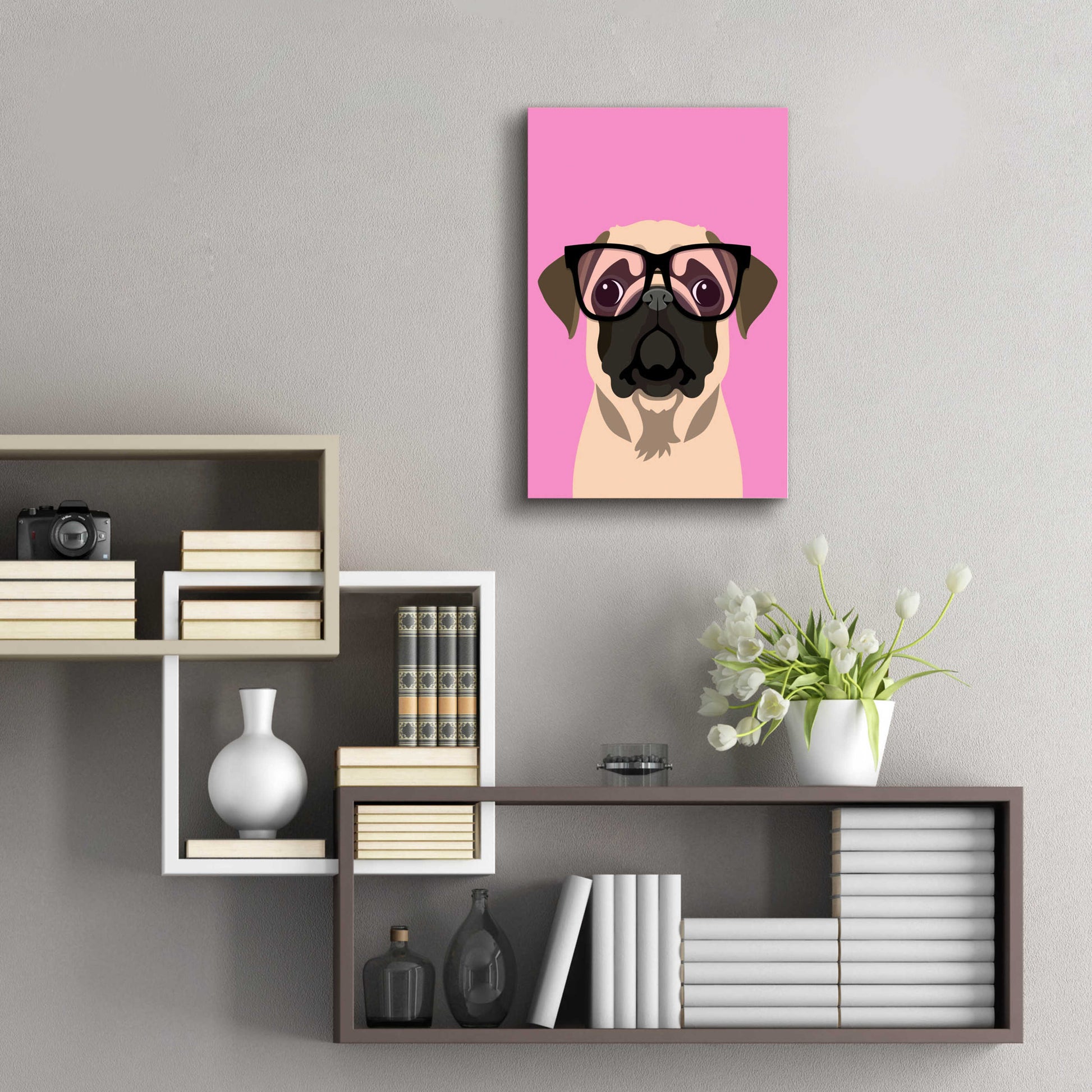 Epic Art 'Pug Pink' by Debbie Gray, Acrylic Glass Wall Art,16x24