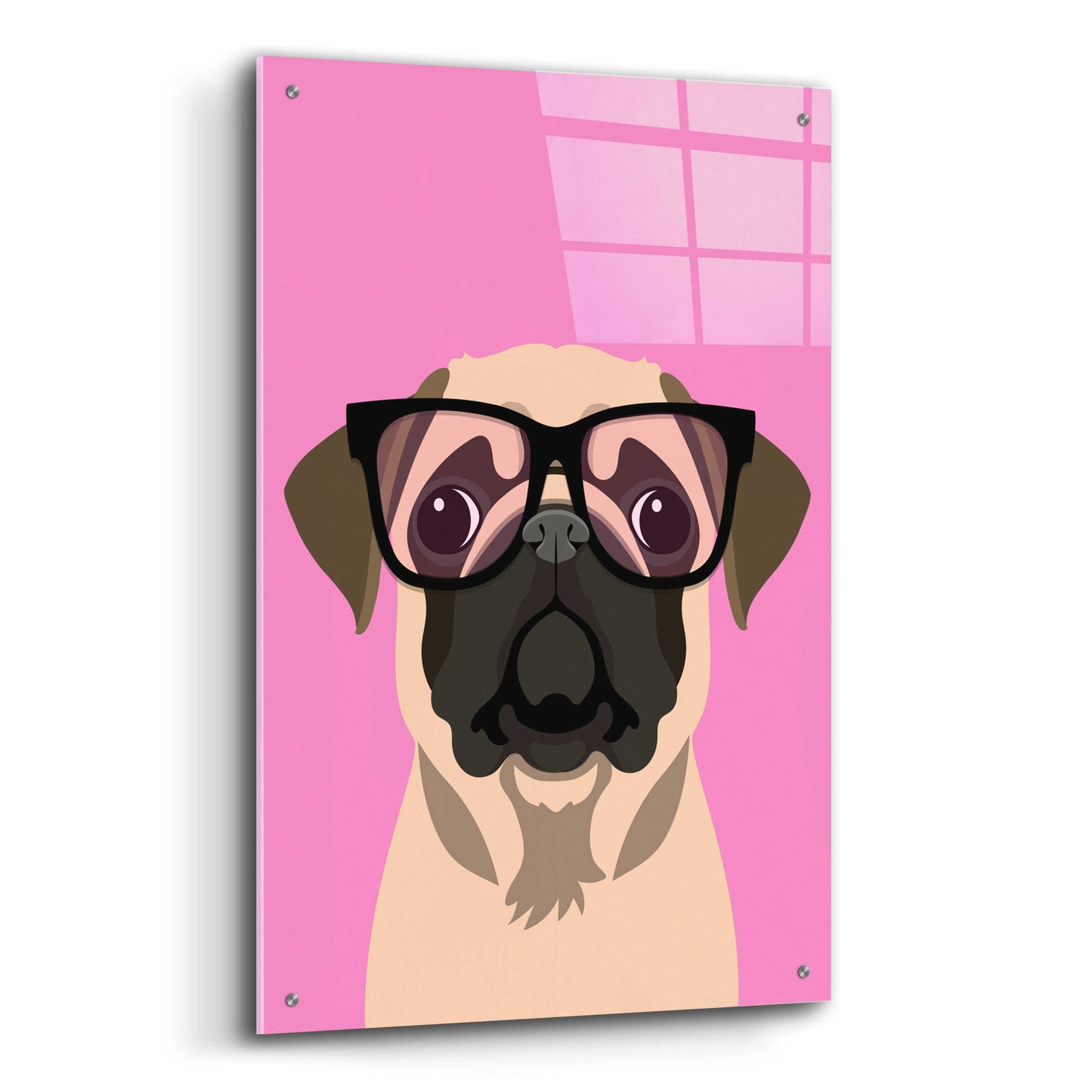 Epic Art 'Pug Pink' by Debbie Gray, Acrylic Glass Wall Art,24x36