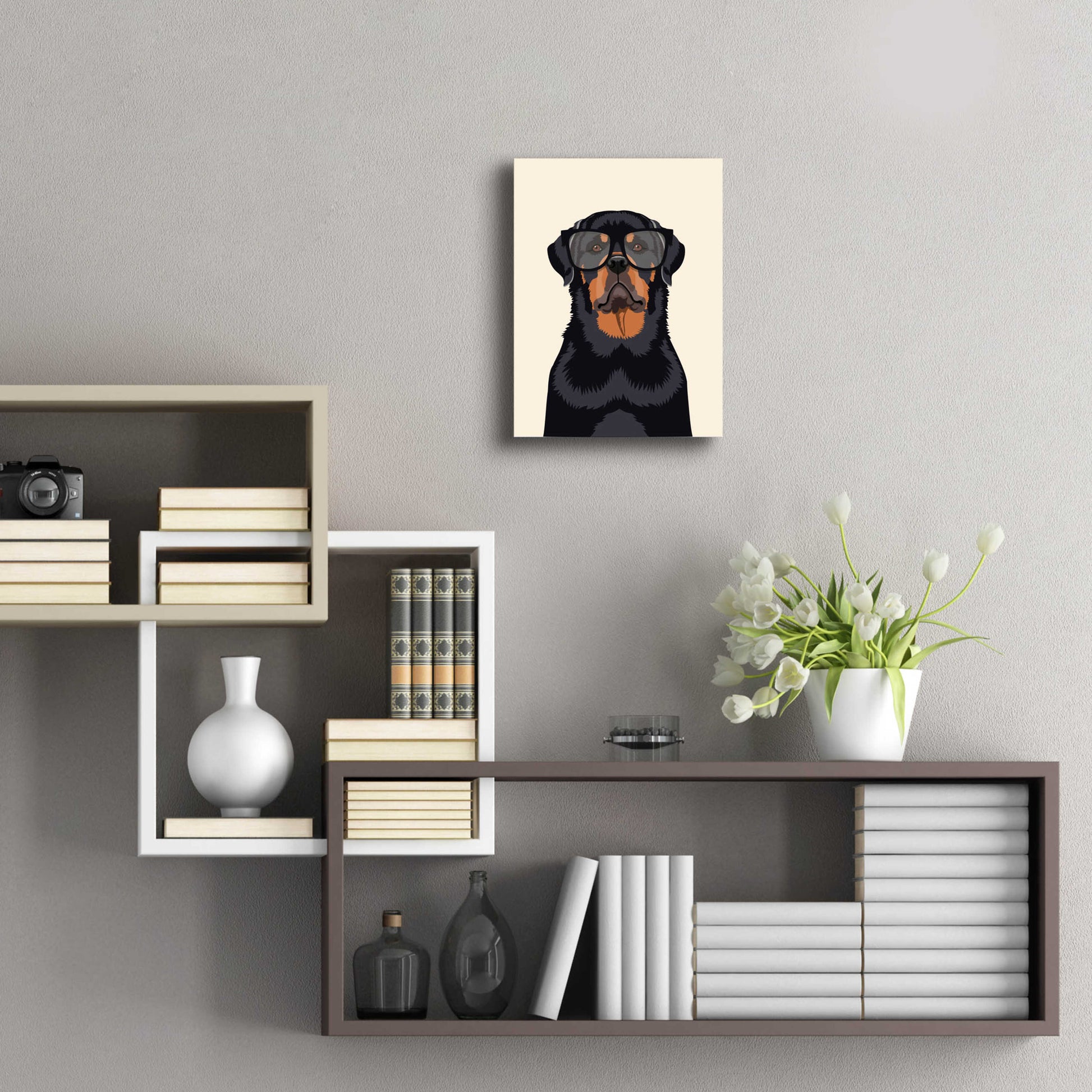 Epic Art 'Rottie Tan' by Debbie Gray, Acrylic Glass Wall Art,12x16