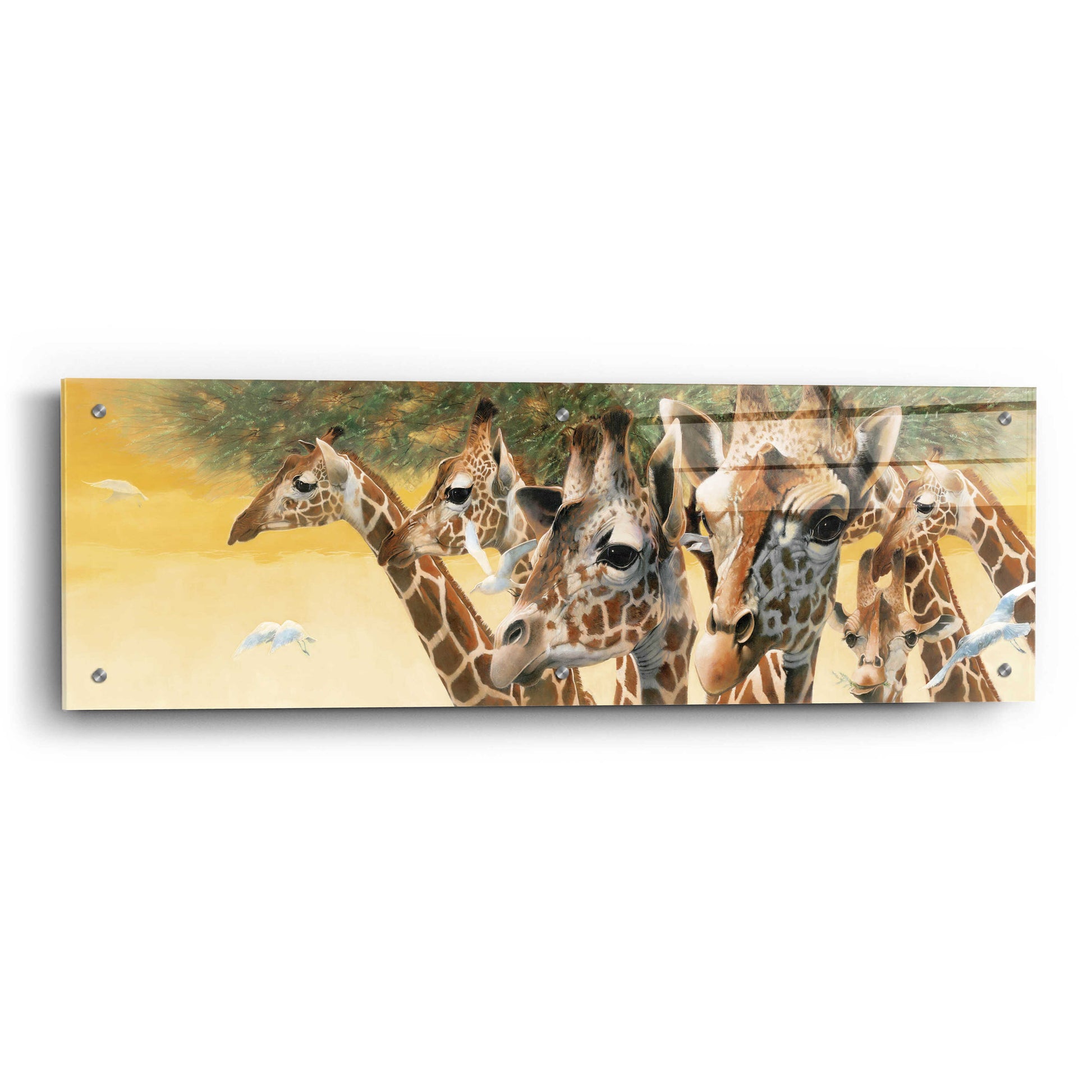 Epic Art 'A Walk in the Sun' by Durwood Coffey, Acrylic Glass Wall Art,36x12