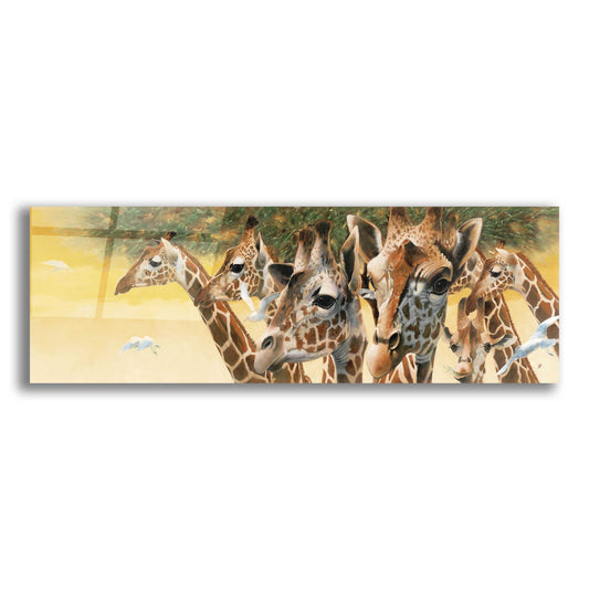 Epic Art 'A Walk in the Sun' by Durwood Coffey, Acrylic Glass Wall Art