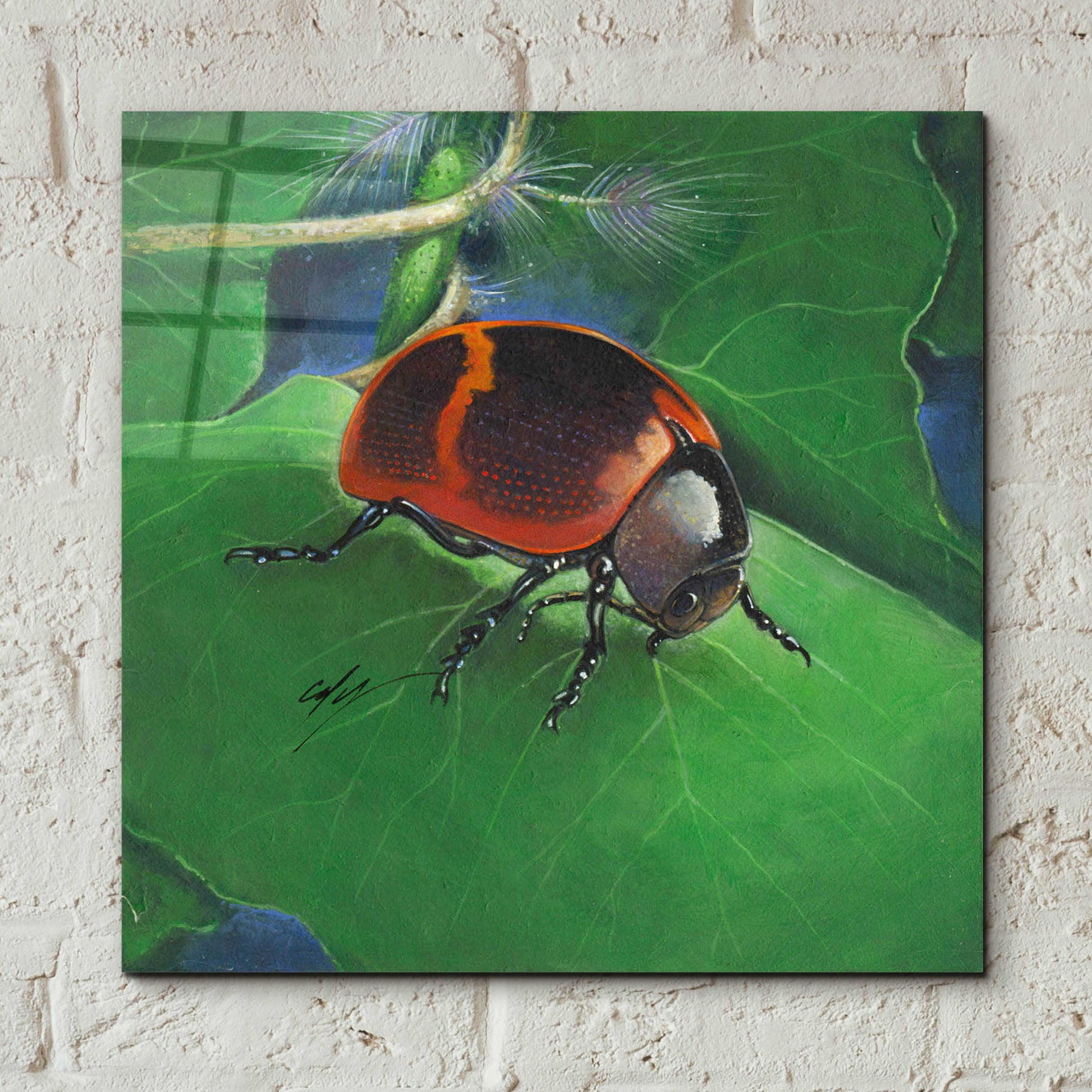 Epic Art 'Beetle' by Durwood Coffey, Acrylic Glass Wall Art,12x12