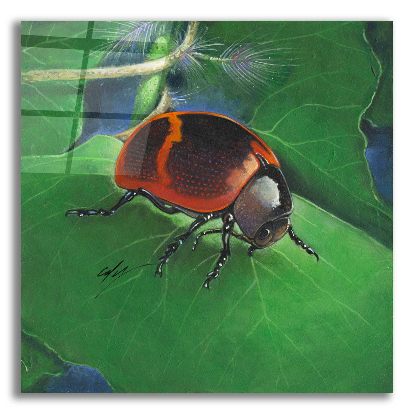 Epic Art 'Beetle' by Durwood Coffey, Acrylic Glass Wall Art