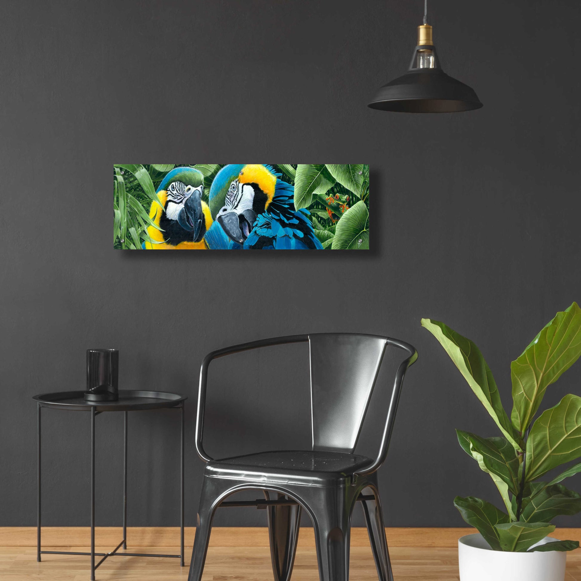 Epic Art 'Blue & Yellow Macaws' by Durwood Coffey, Acrylic Glass Wall Art,36x12