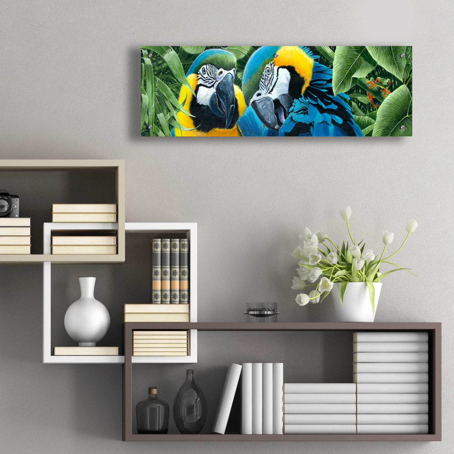 Epic Art 'Blue & Yellow Macaws' by Durwood Coffey, Acrylic Glass Wall Art,36x12