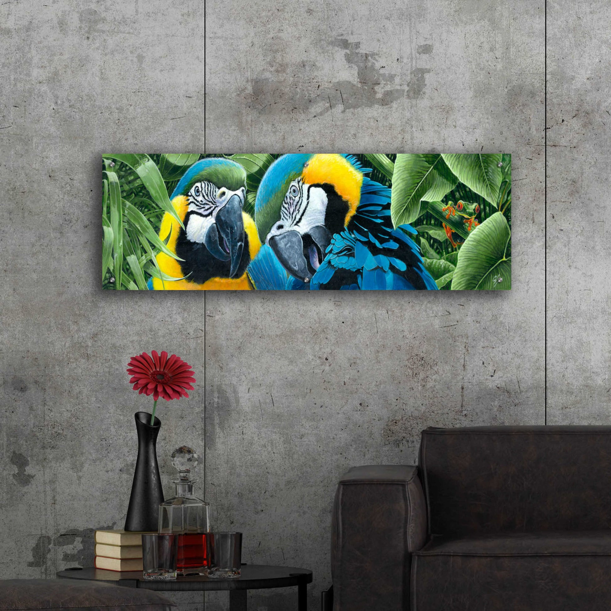 Epic Art 'Blue & Yellow Macaws' by Durwood Coffey, Acrylic Glass Wall Art,48x16