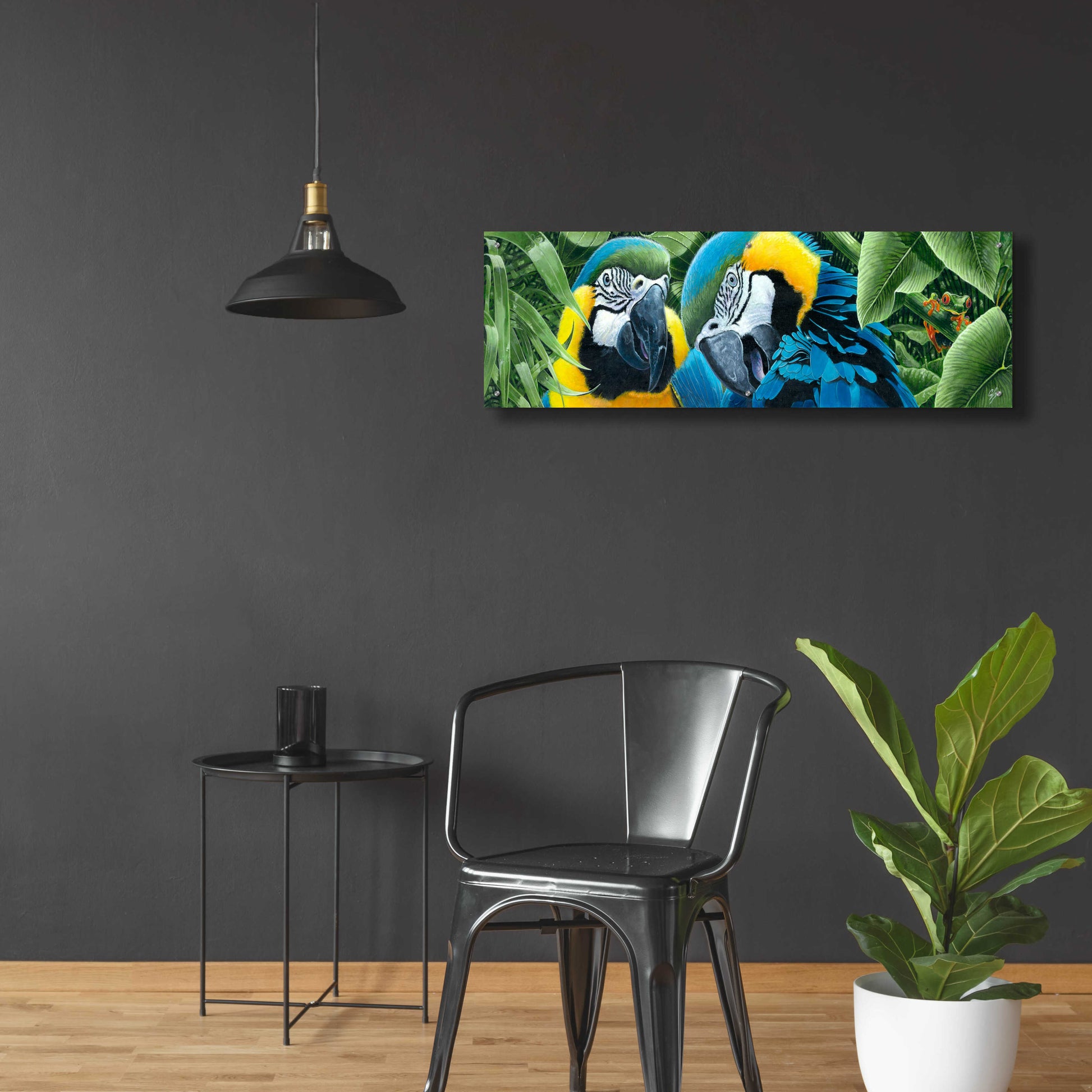 Epic Art 'Blue & Yellow Macaws' by Durwood Coffey, Acrylic Glass Wall Art,48x16