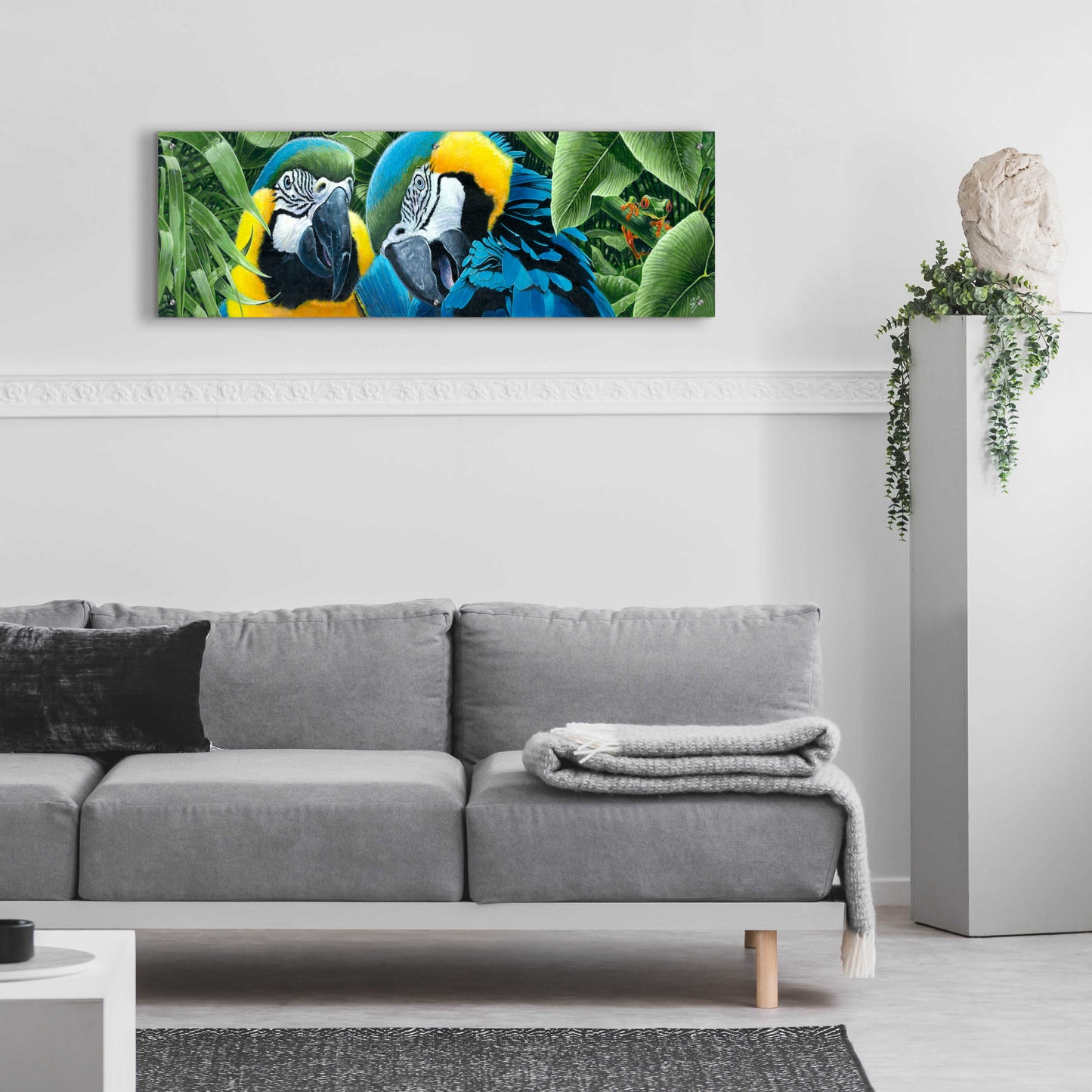 Epic Art 'Blue & Yellow Macaws' by Durwood Coffey, Acrylic Glass Wall Art,48x16