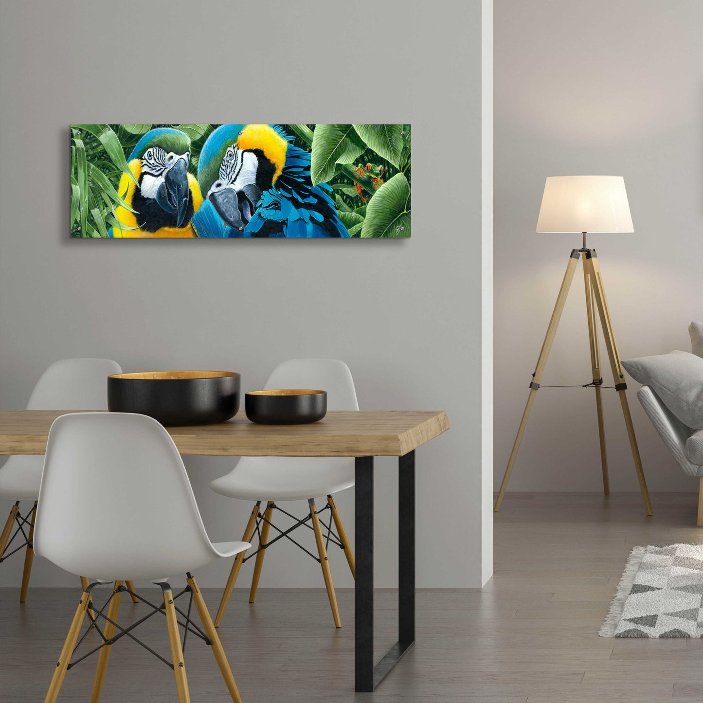 Epic Art 'Blue & Yellow Macaws' by Durwood Coffey, Acrylic Glass Wall Art,48x16