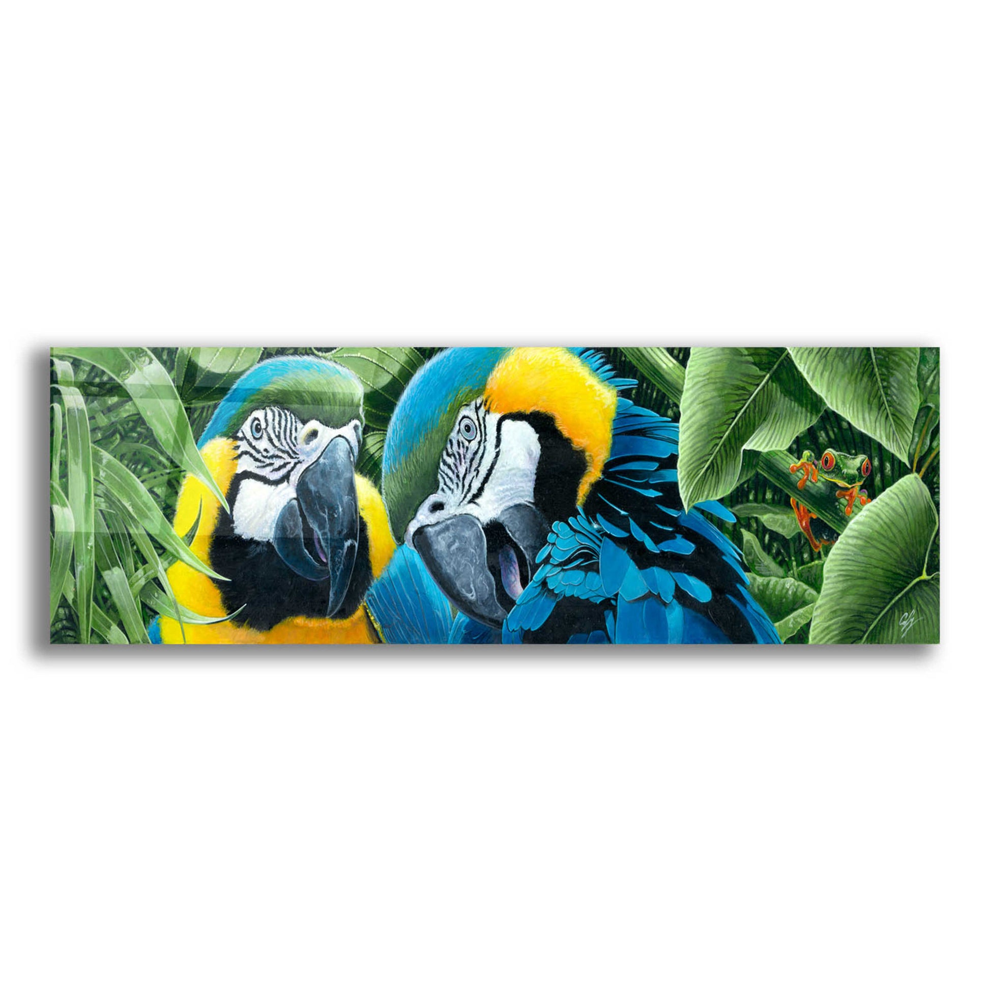 Epic Art 'Blue & Yellow Macaws' by Durwood Coffey, Acrylic Glass Wall Art