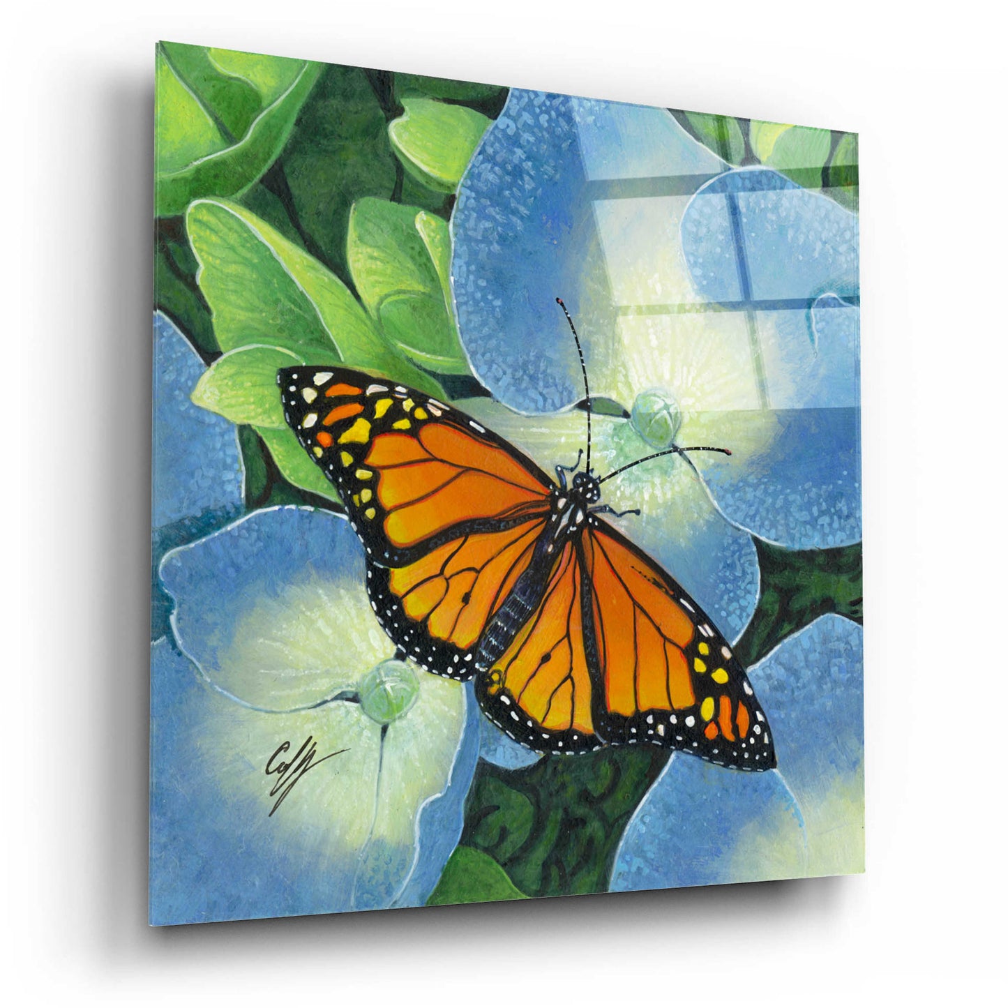 Epic Art 'Butterfly' by Durwood Coffey, Acrylic Glass Wall Art,12x12