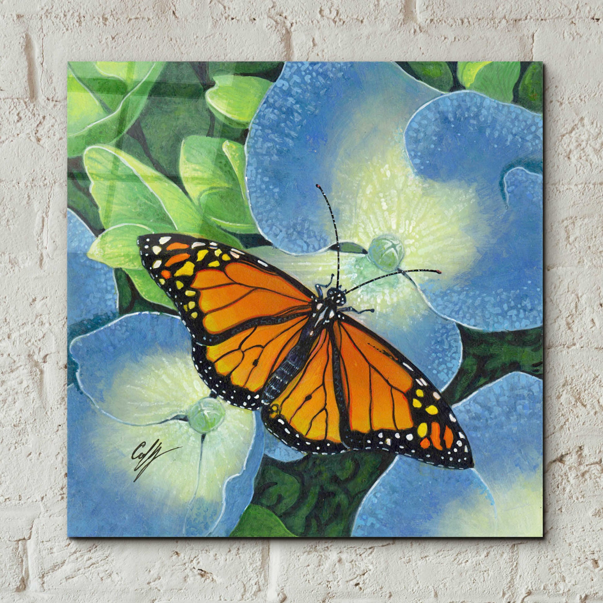 Epic Art 'Butterfly' by Durwood Coffey, Acrylic Glass Wall Art,12x12