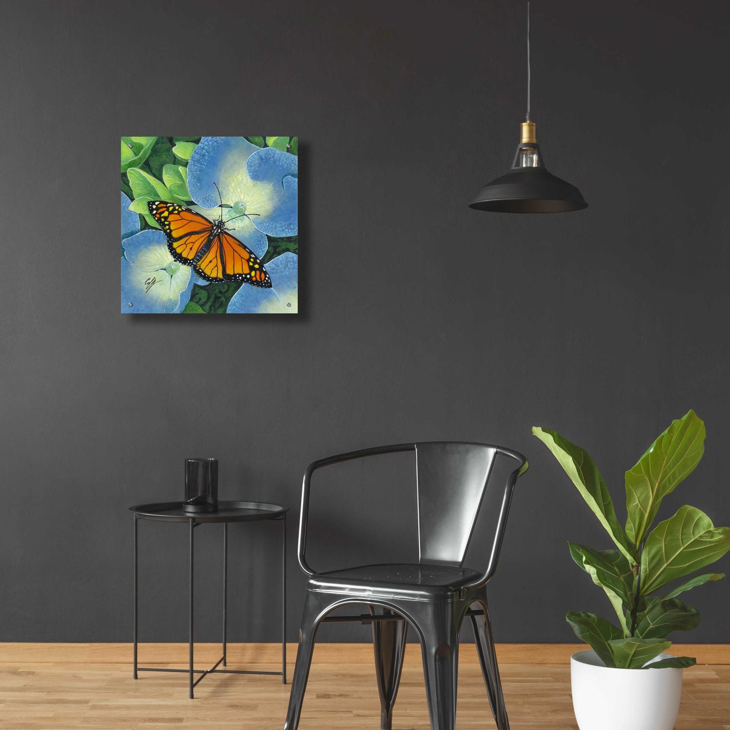 Epic Art 'Butterfly' by Durwood Coffey, Acrylic Glass Wall Art,24x24