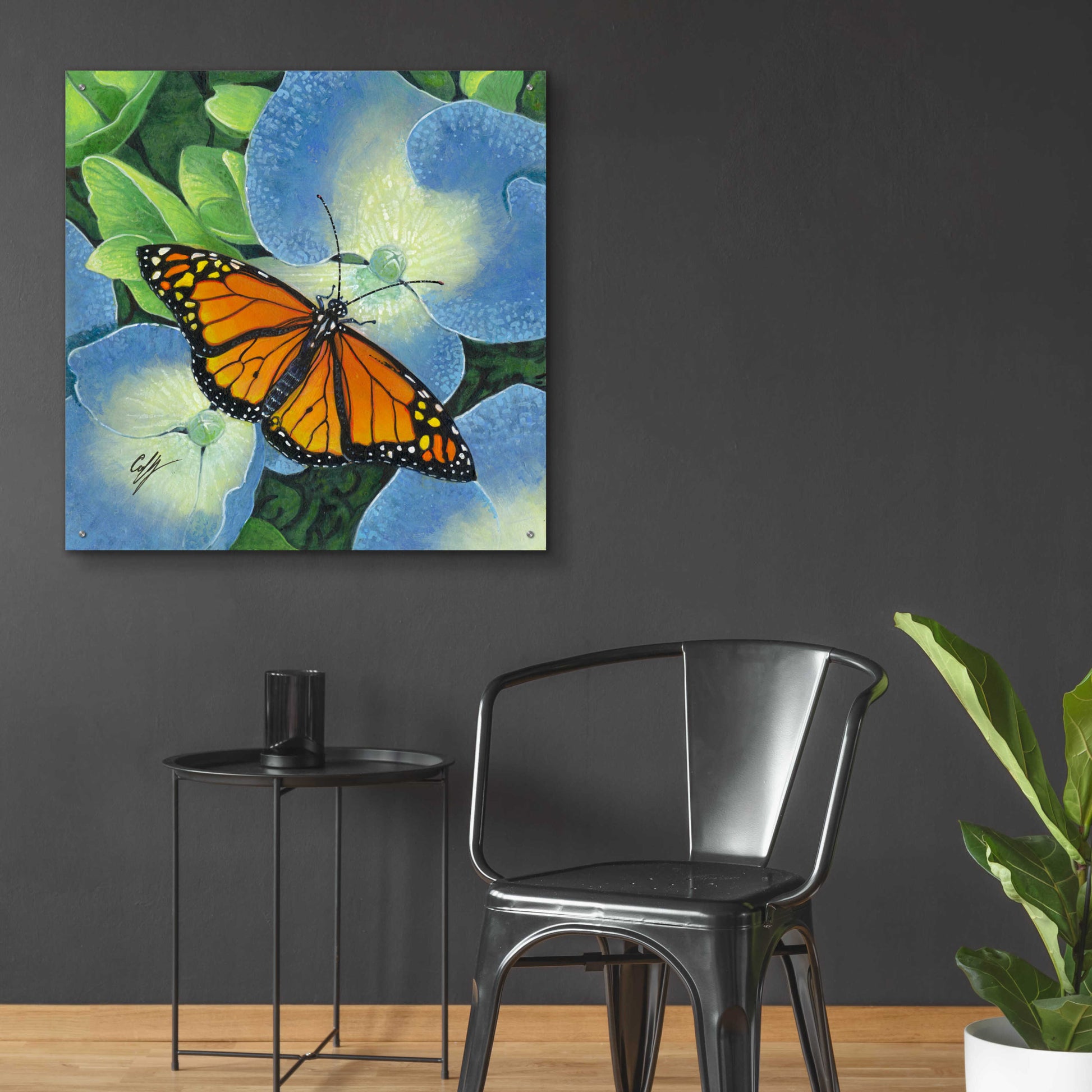 Epic Art 'Butterfly' by Durwood Coffey, Acrylic Glass Wall Art,36x36