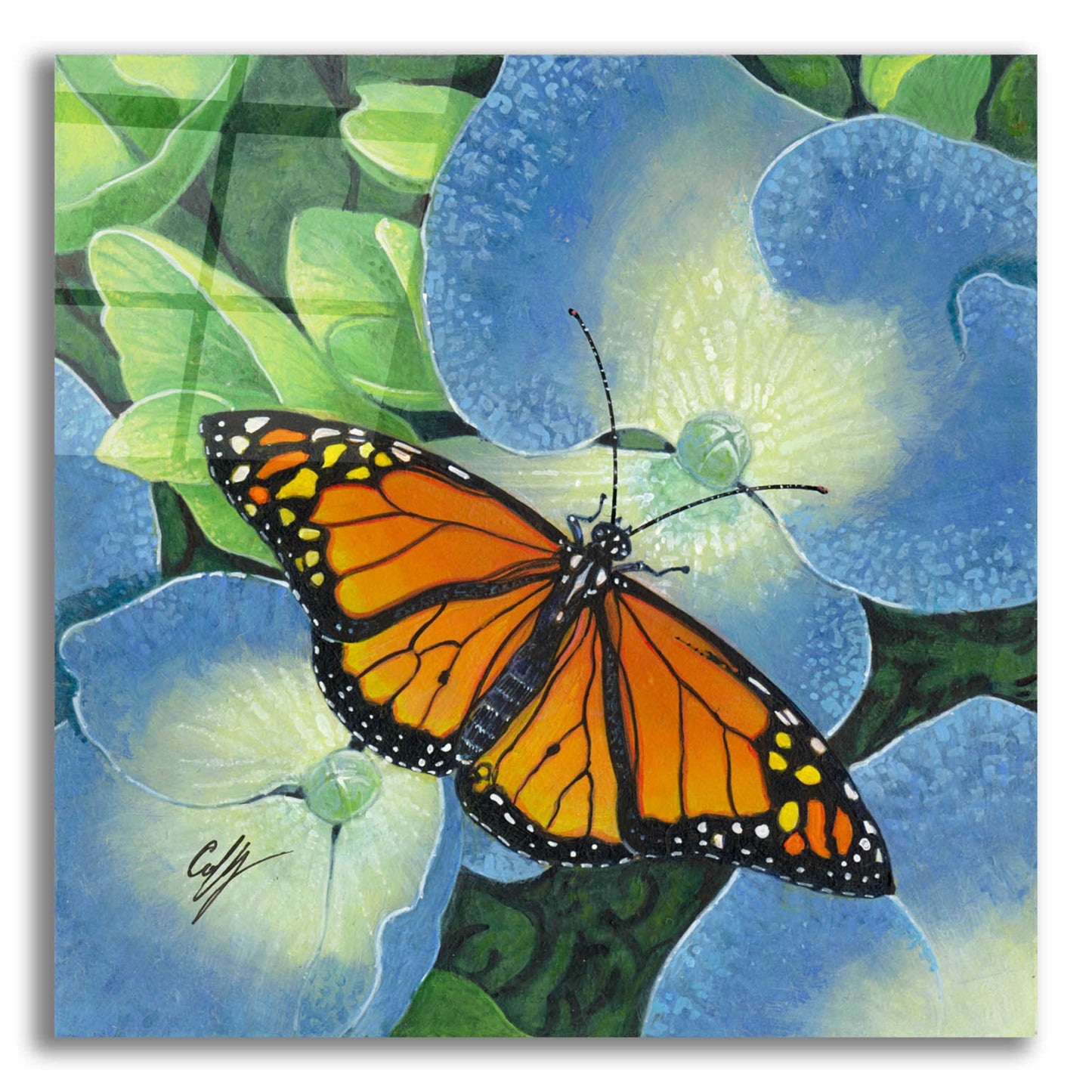 Epic Art 'Butterfly' by Durwood Coffey, Acrylic Glass Wall Art