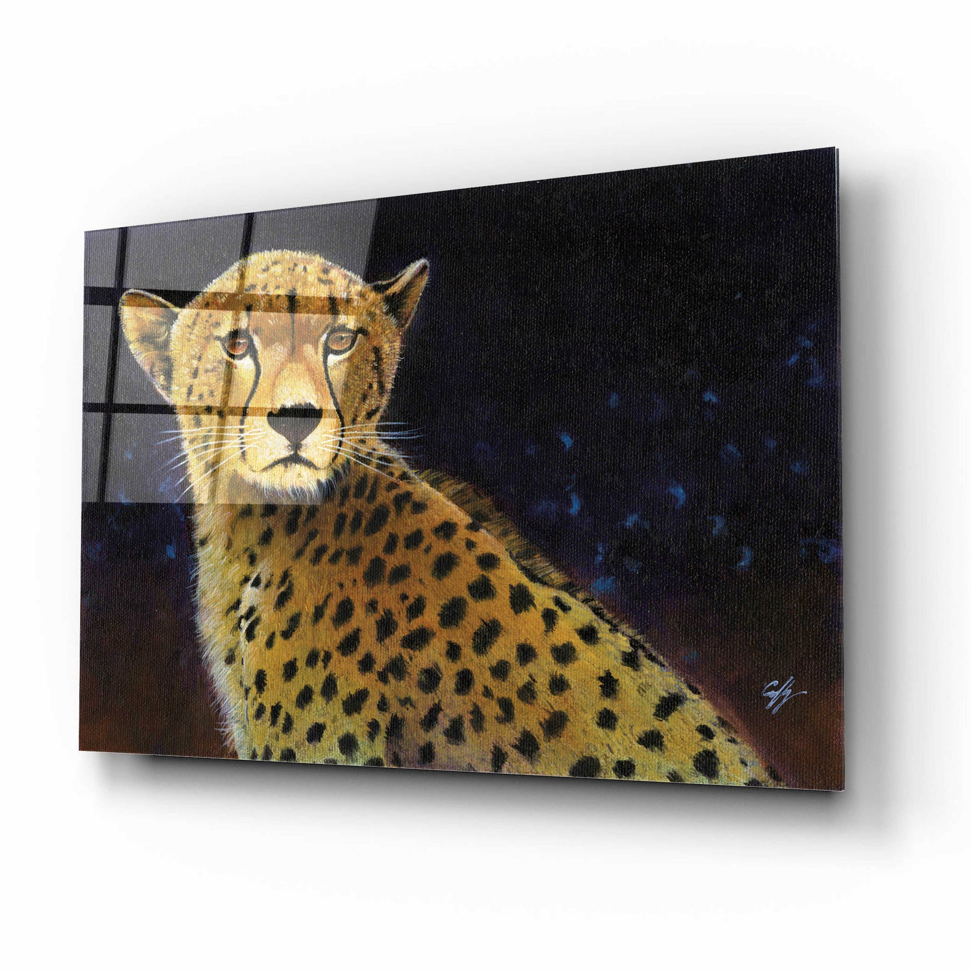 Epic Art 'Cheetah' by Durwood Coffey, Acrylic Glass Wall Art,16x12