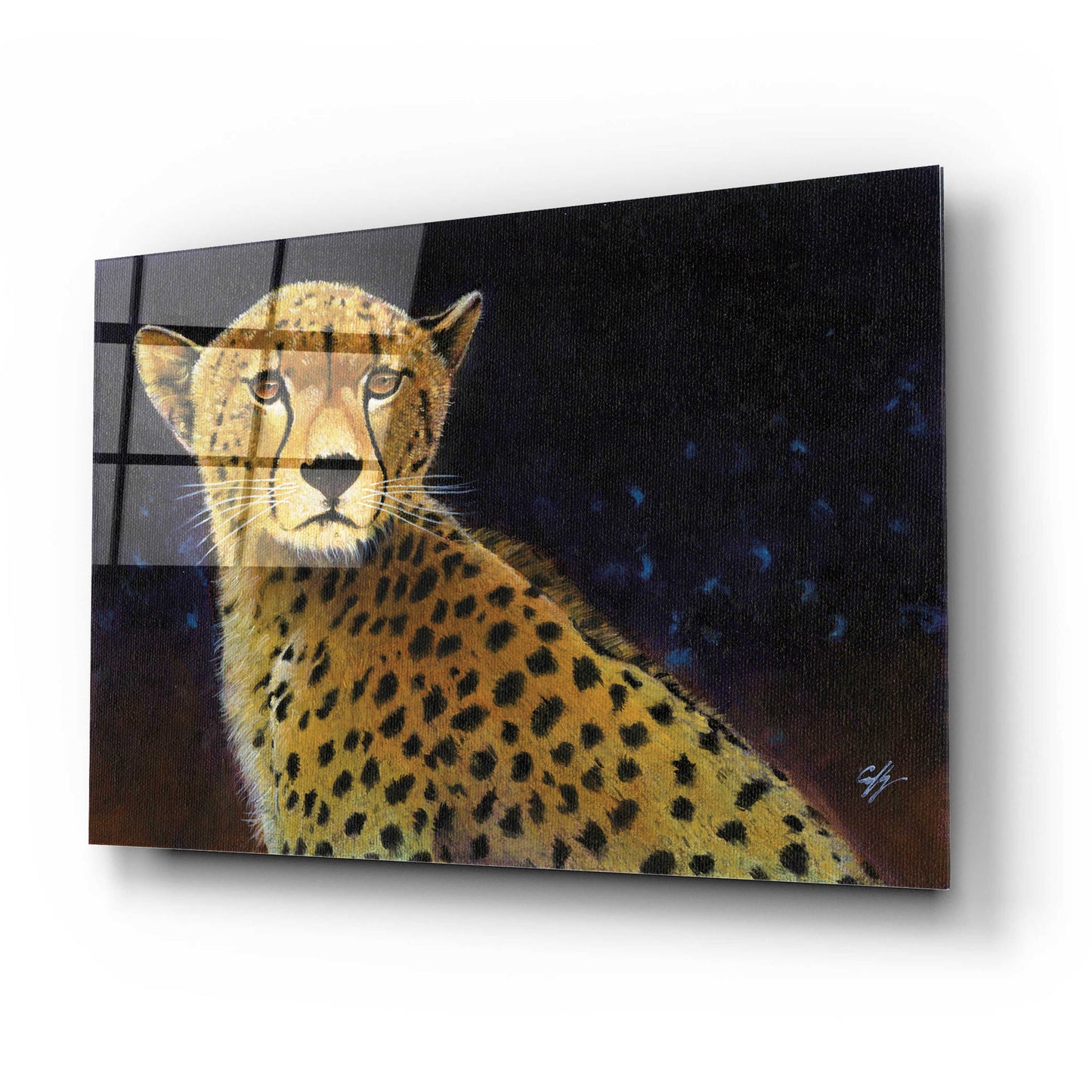 Epic Art 'Cheetah' by Durwood Coffey, Acrylic Glass Wall Art,24x16