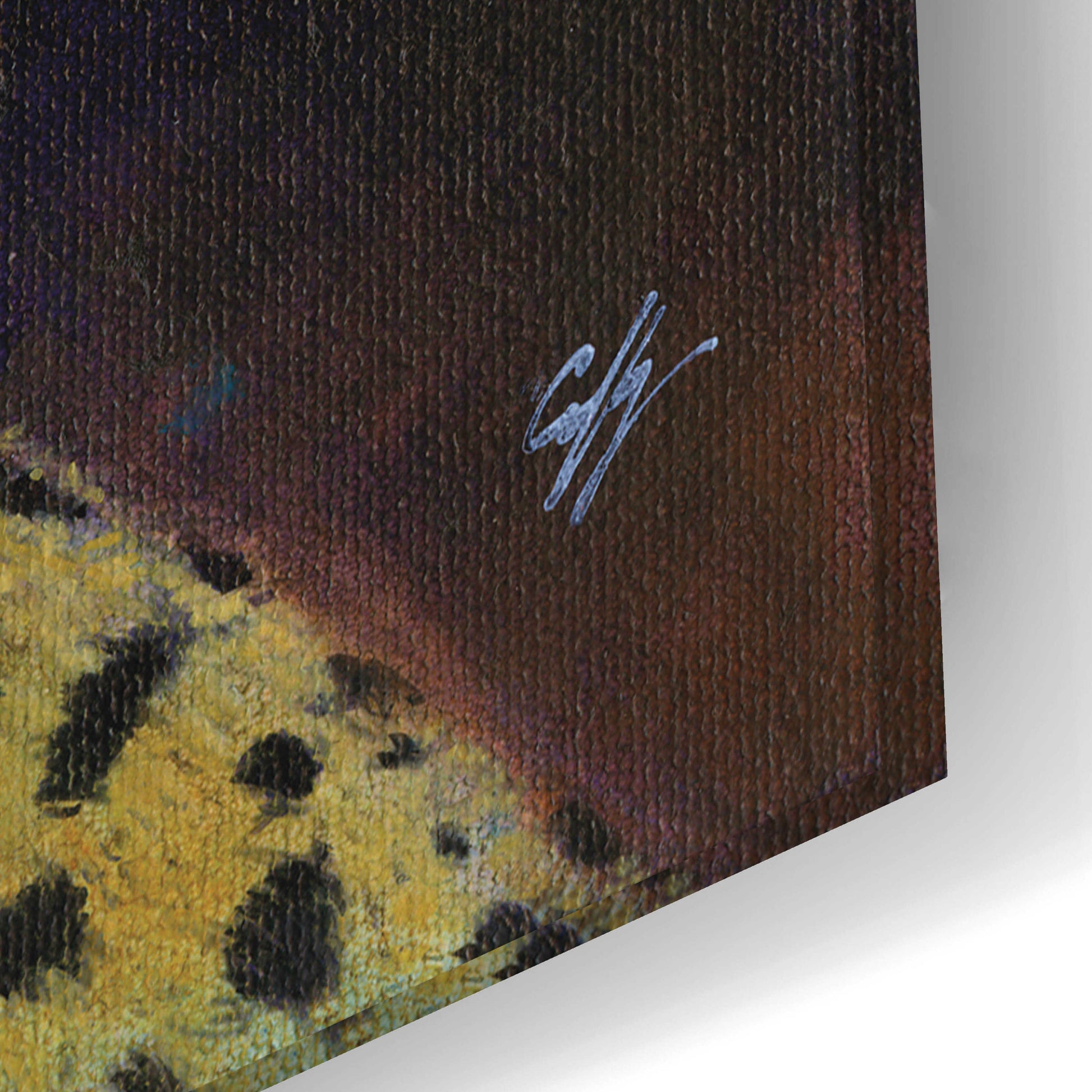 Epic Art 'Cheetah' by Durwood Coffey, Acrylic Glass Wall Art,24x16