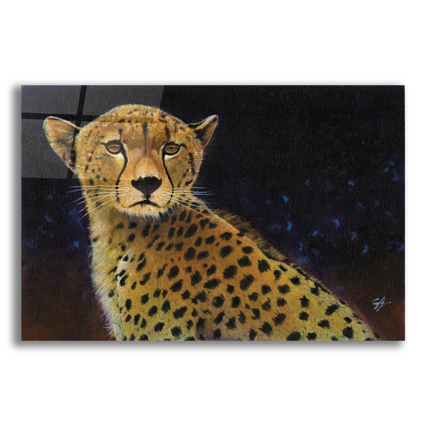 Epic Art 'Cheetah' by Durwood Coffey, Acrylic Glass Wall Art,24x16