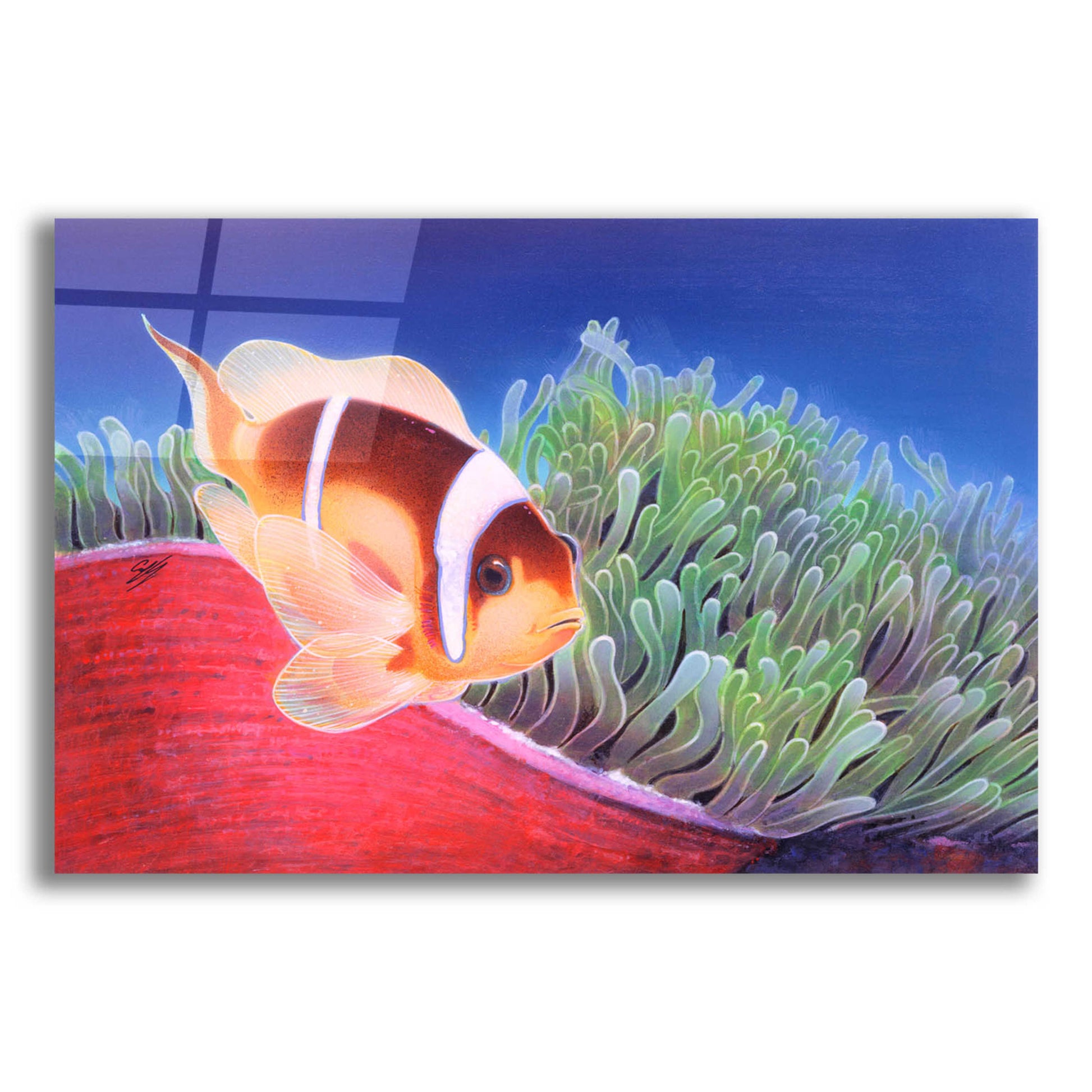 Epic Art 'Clown Fish' by Durwood Coffey, Acrylic Glass Wall Art,24x16